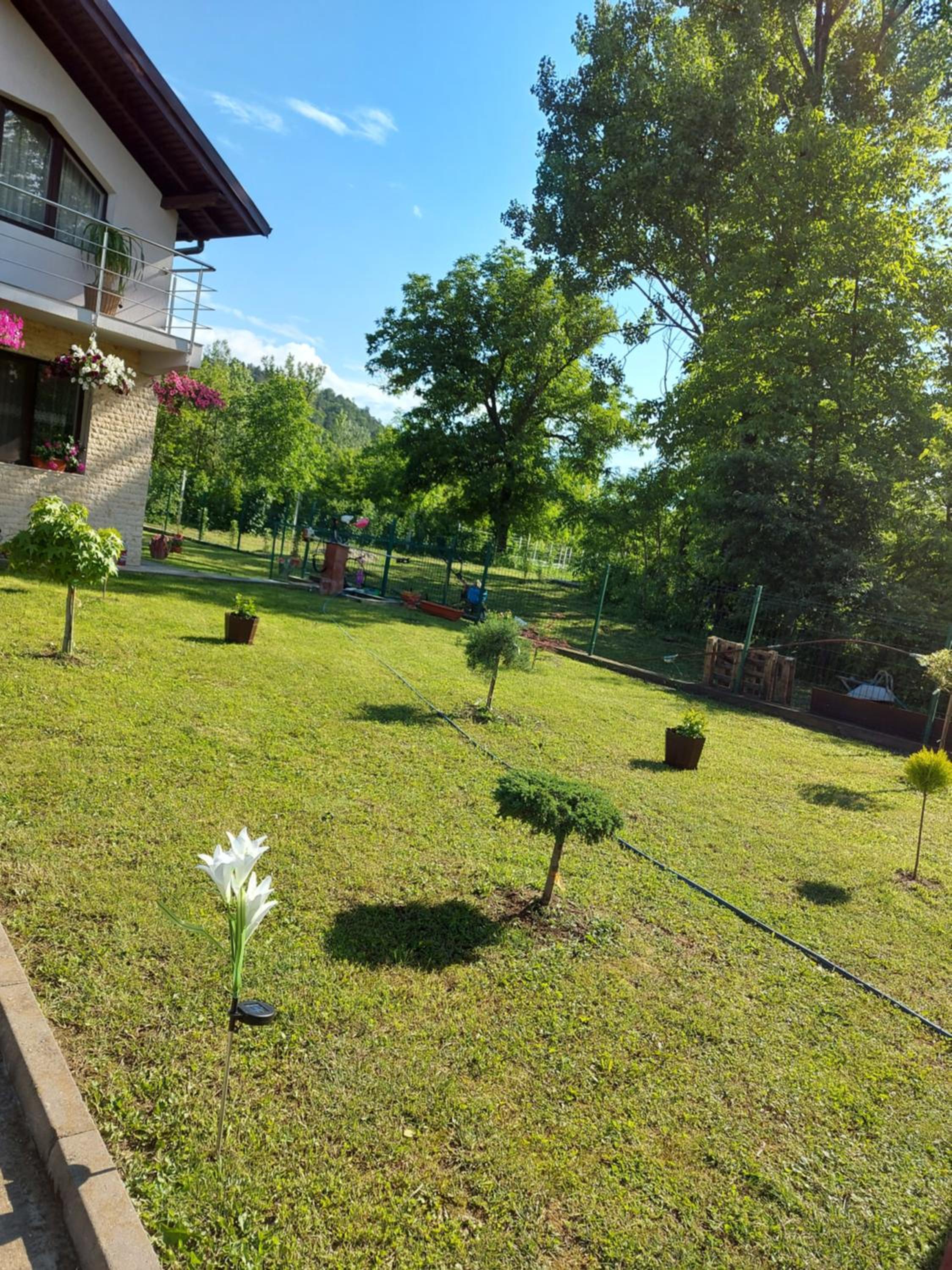 Photo 26