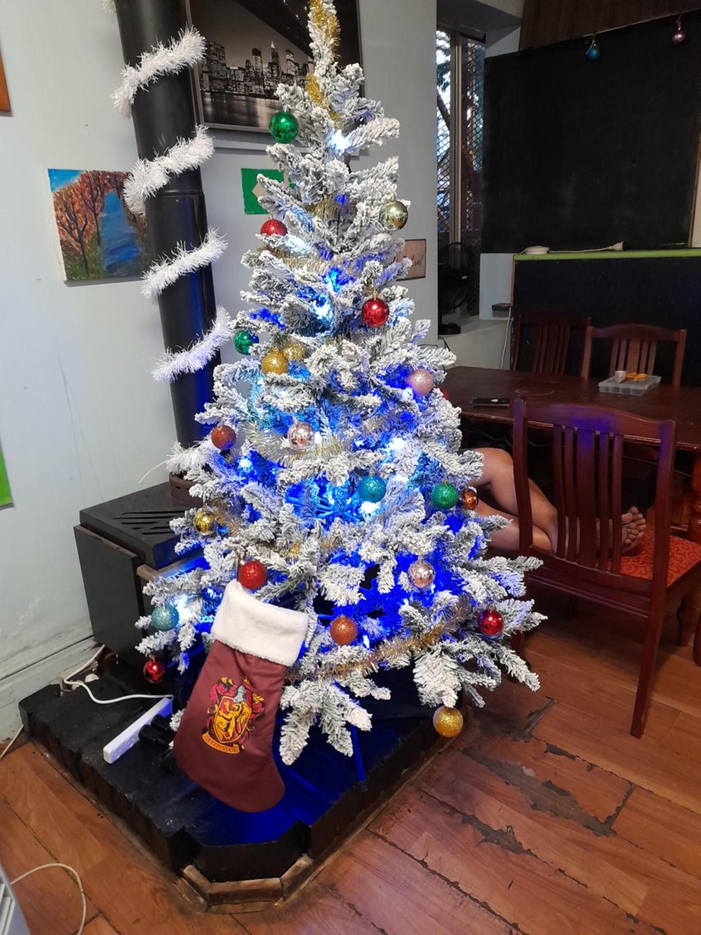 Ozi Inn Backpackers - Perth -Valid International Passport Required