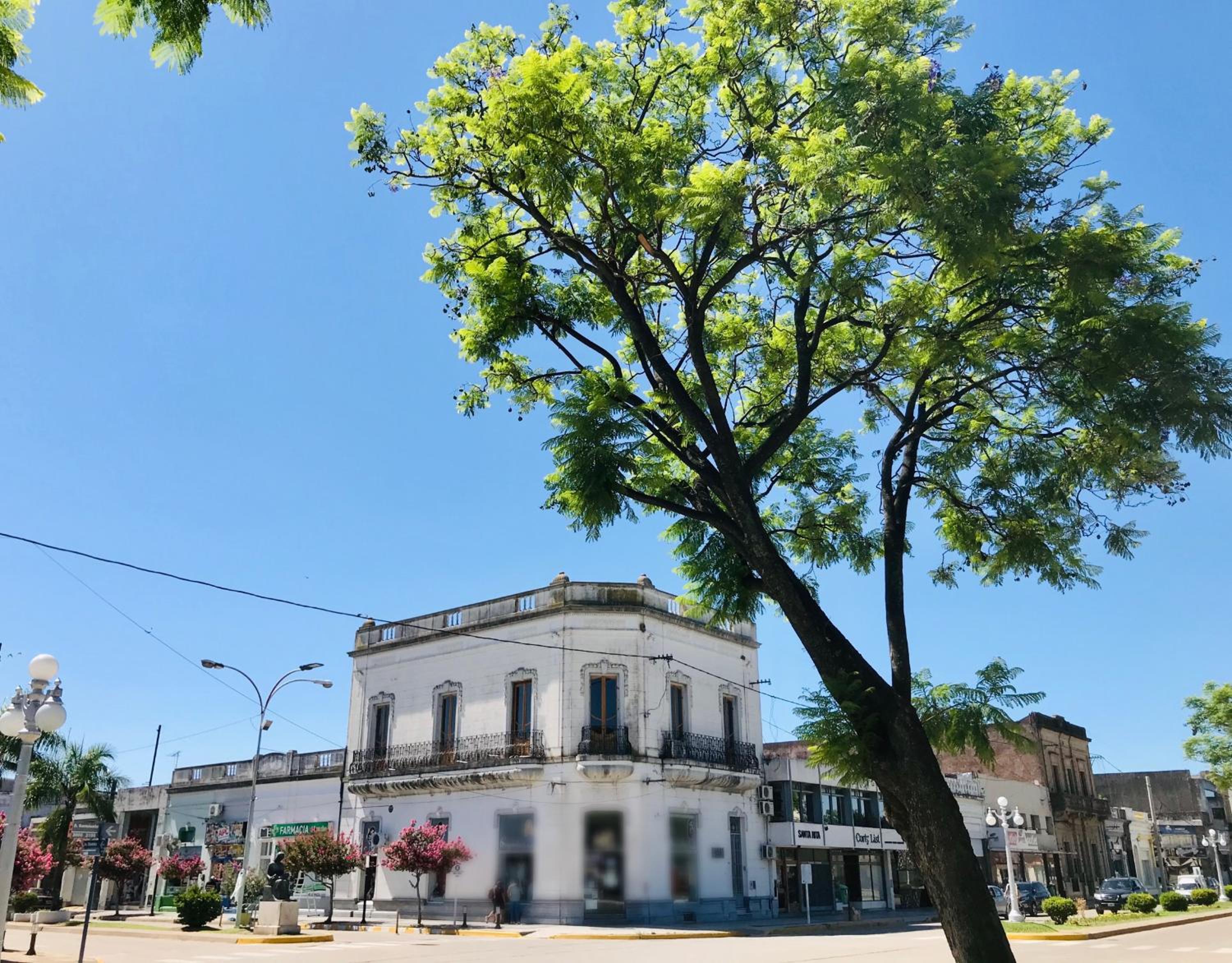 building