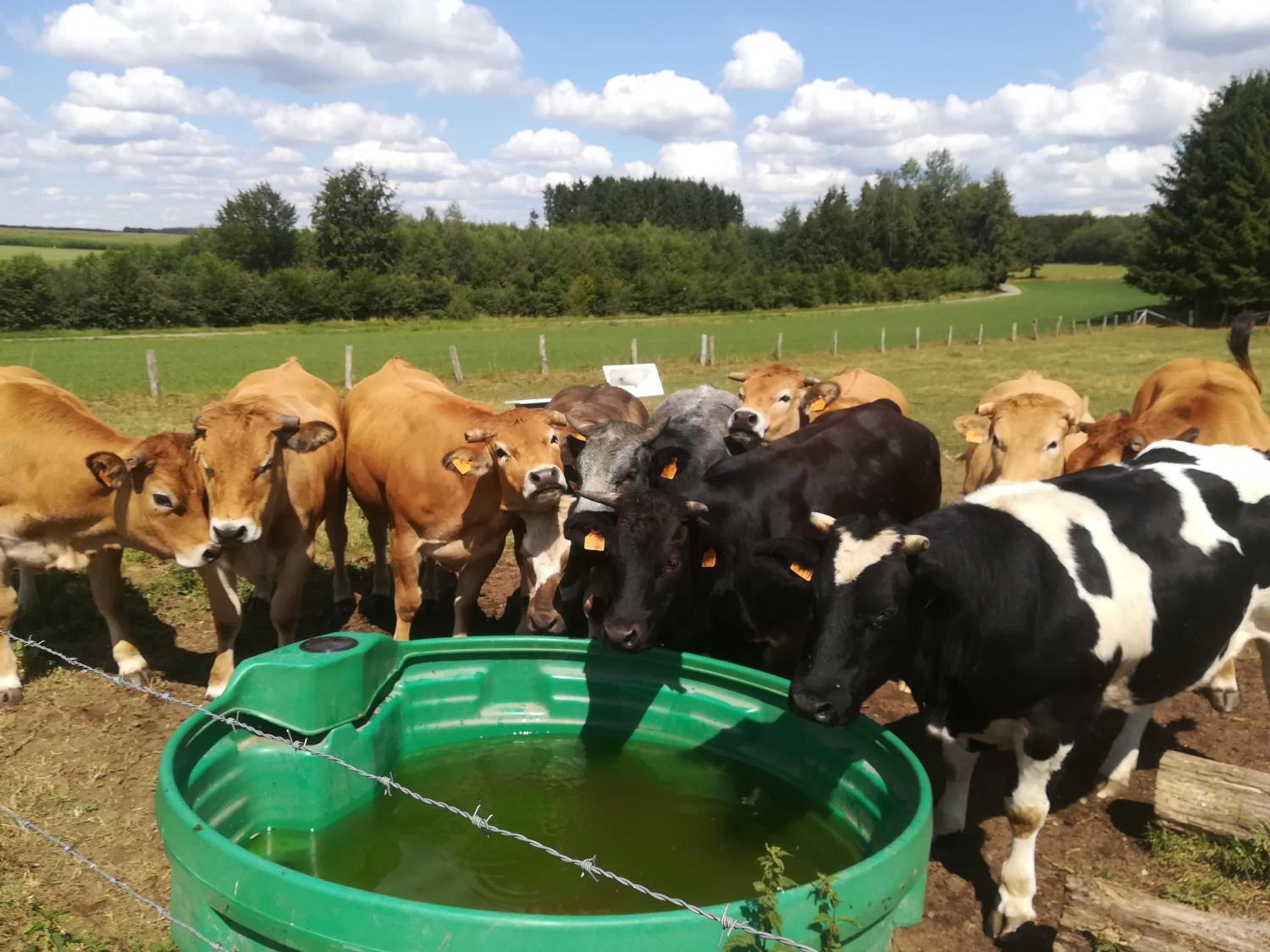 La Ferme Oubliée