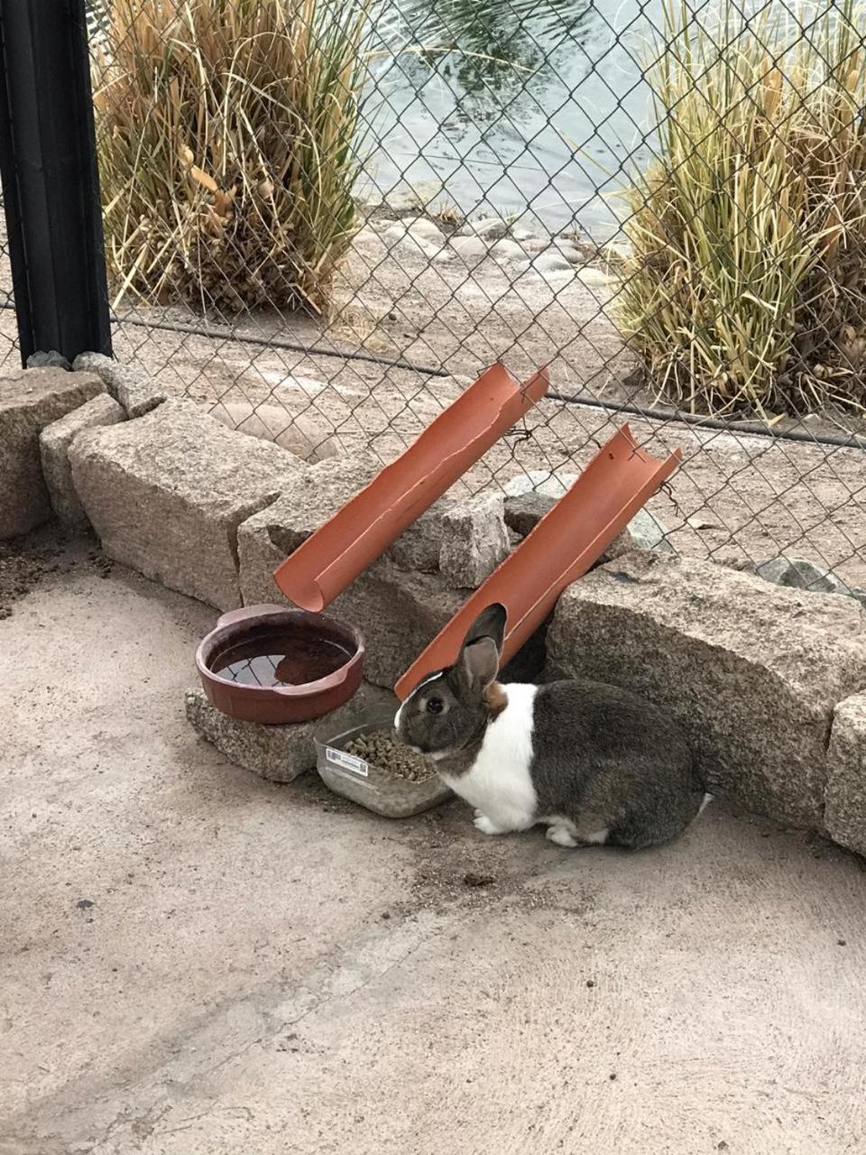 Cabaña en Barrio Privado de Potrerillos