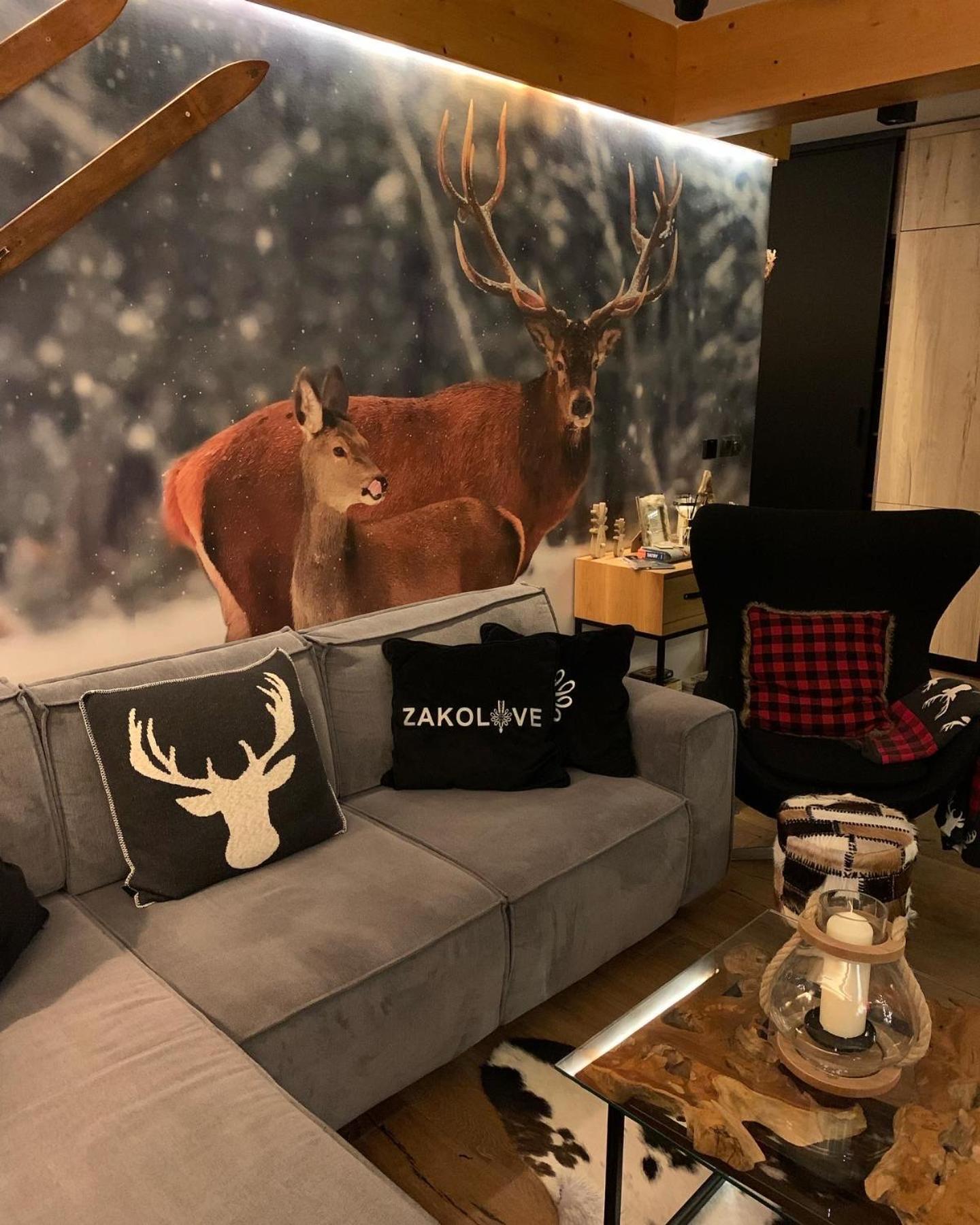 Hotel Apartament ZAKOLOVE pod Skocznią - Sauna , Jaccuzi , piękny taras - Image 1