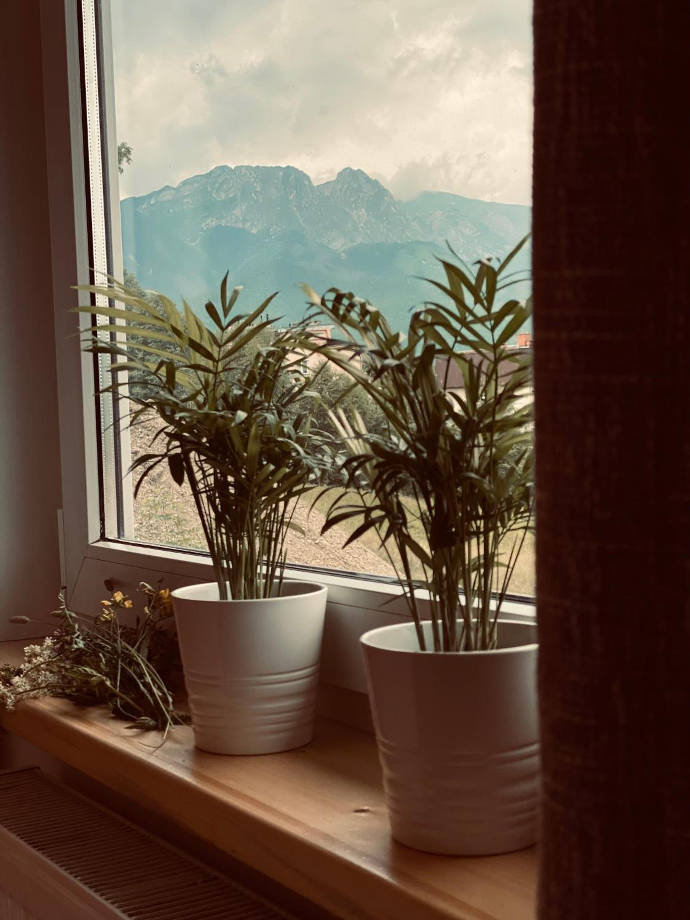Apartamenty Jelonek Zakopane