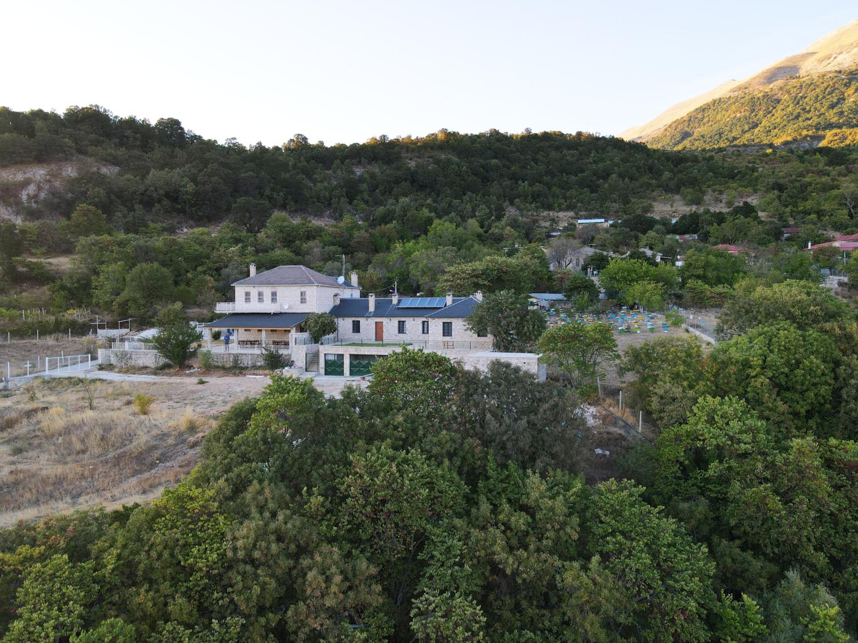 Hani Ilos