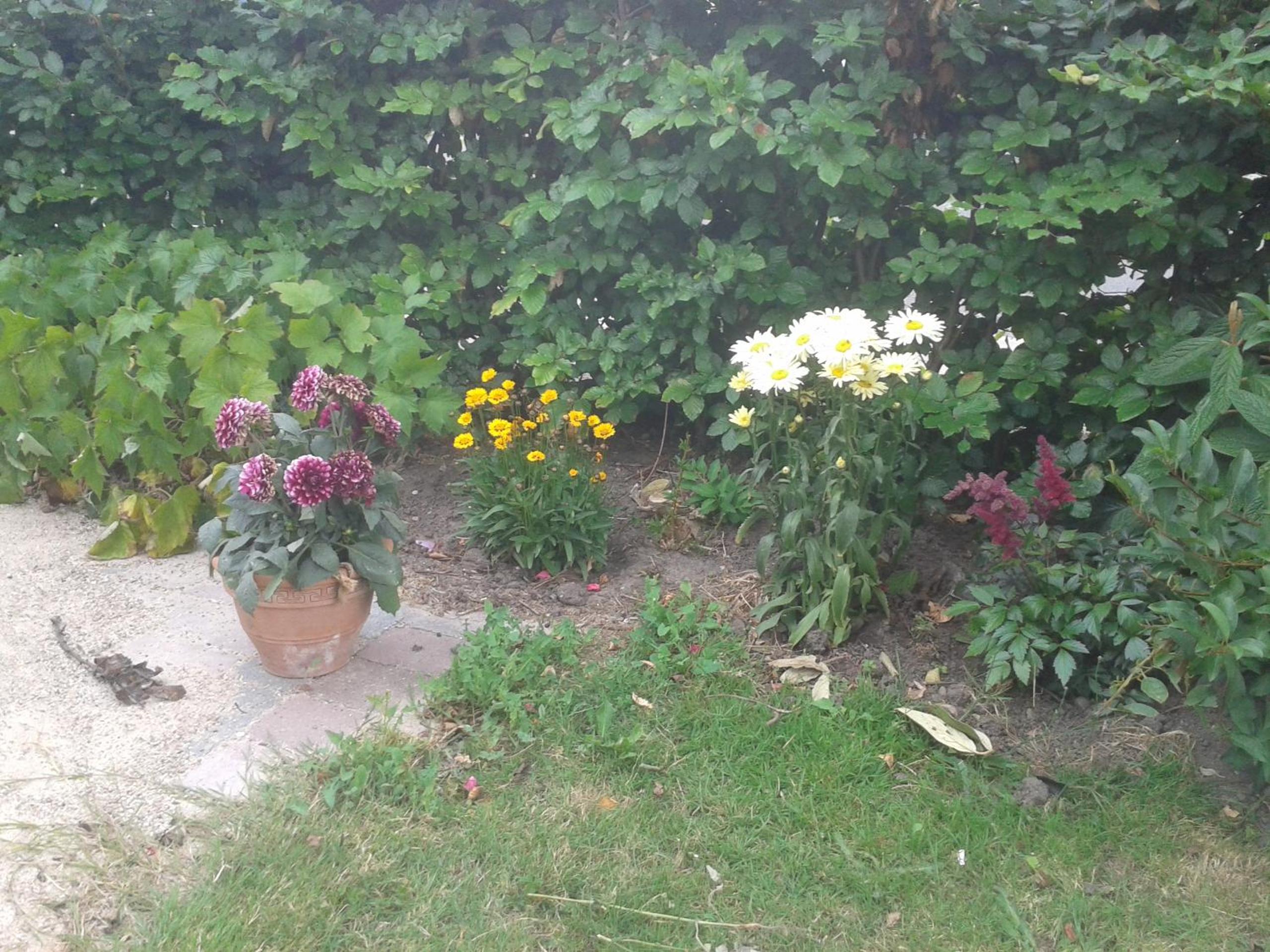 Photo 31