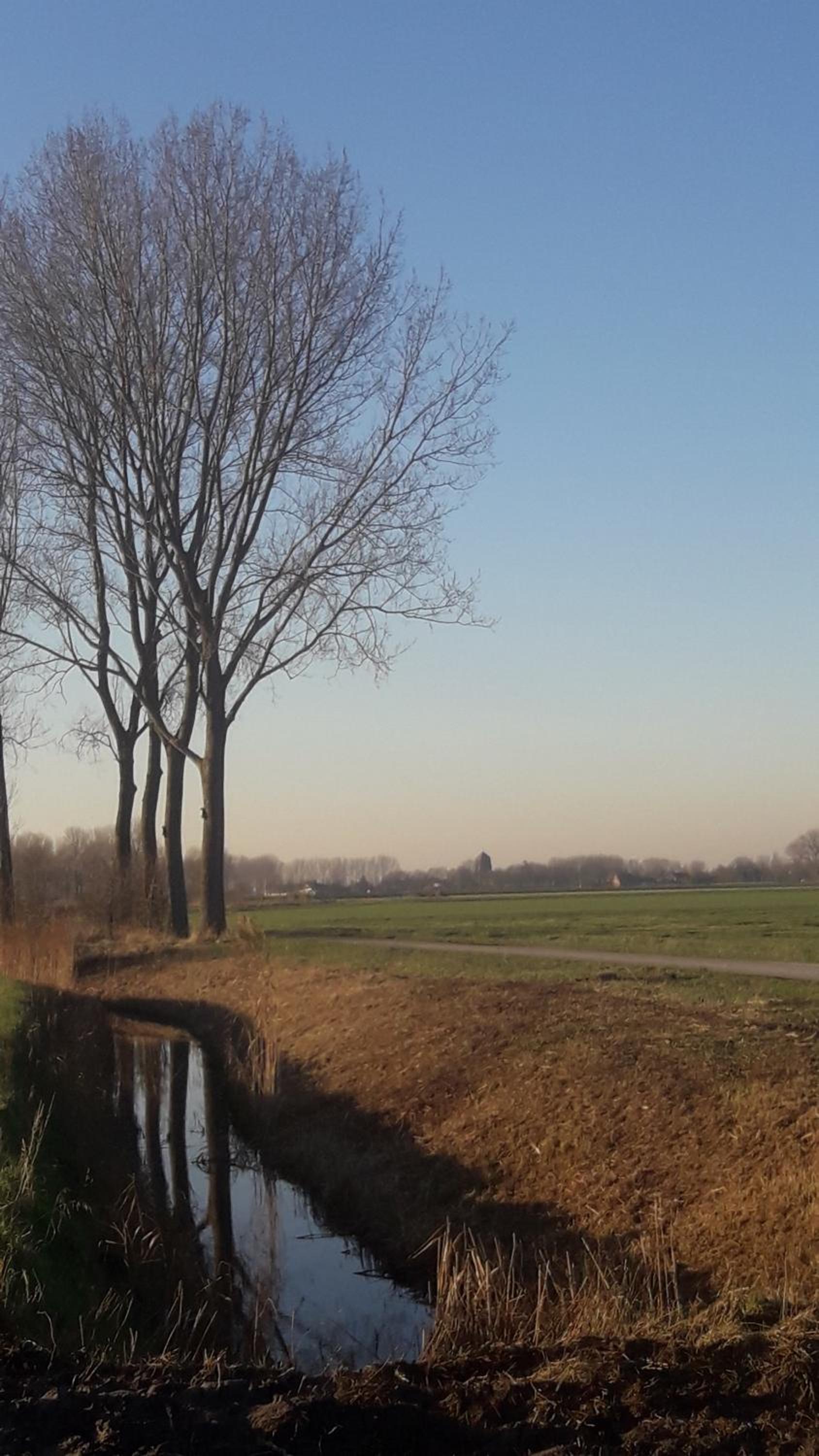B&B De Hemelse Polder