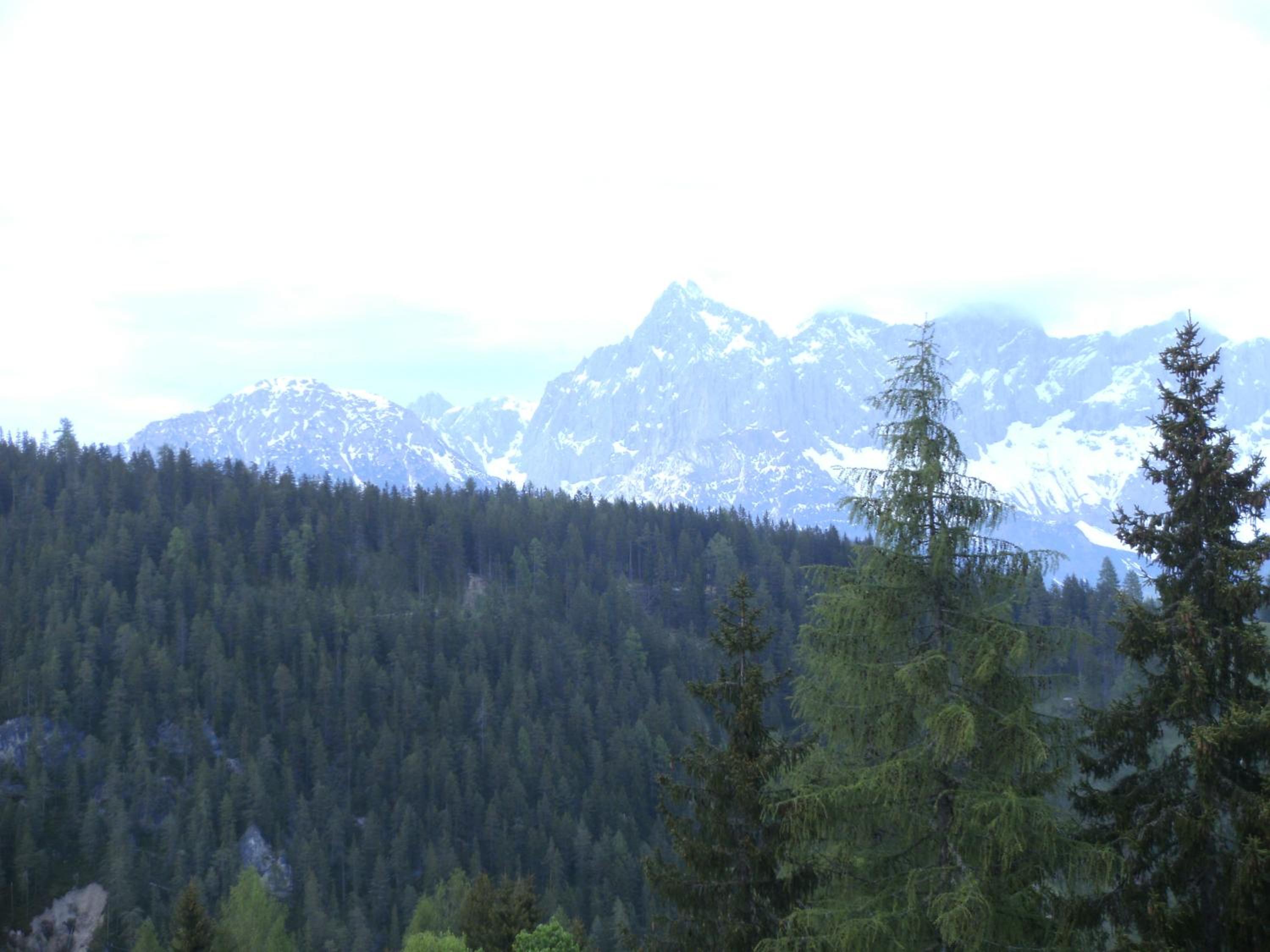 Photo 29