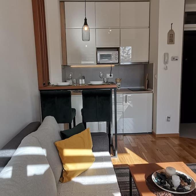 Zlatni Bor Apartment view 2