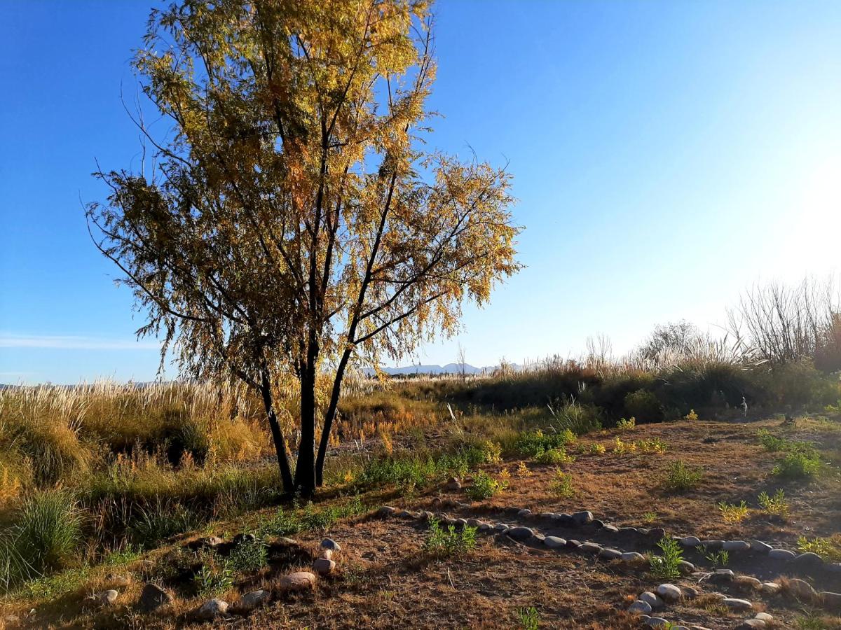 Casa de Campo Don Luis