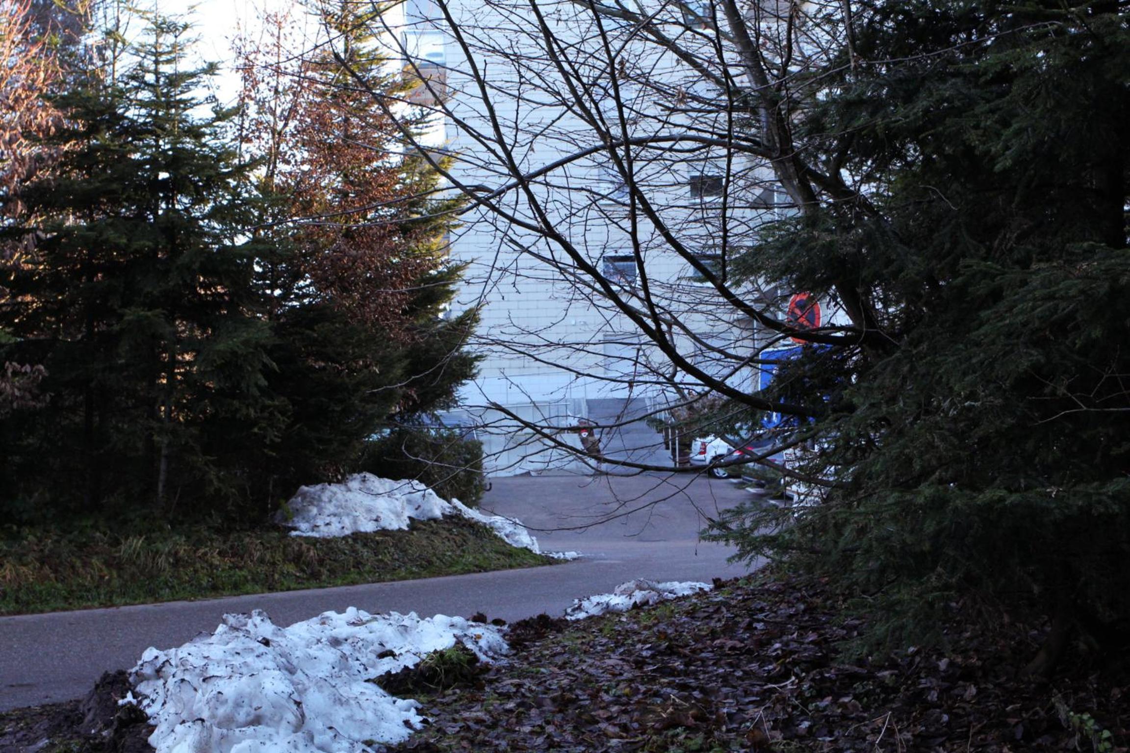 Photo 17