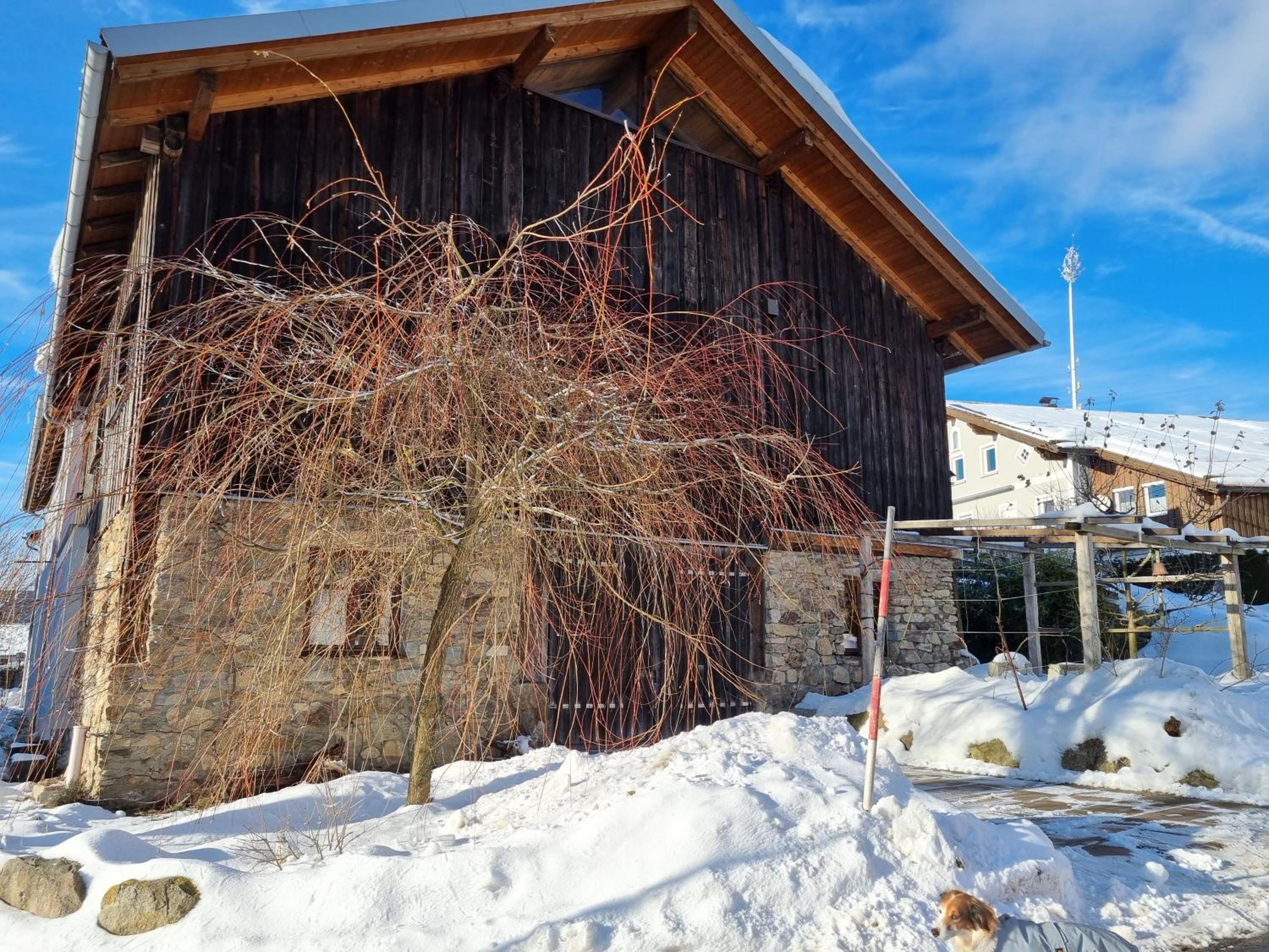 Photo 41