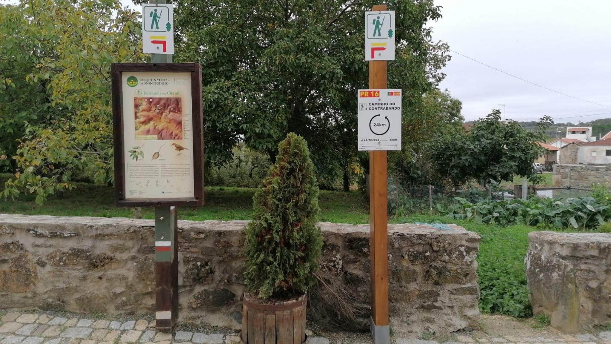 Photo 35