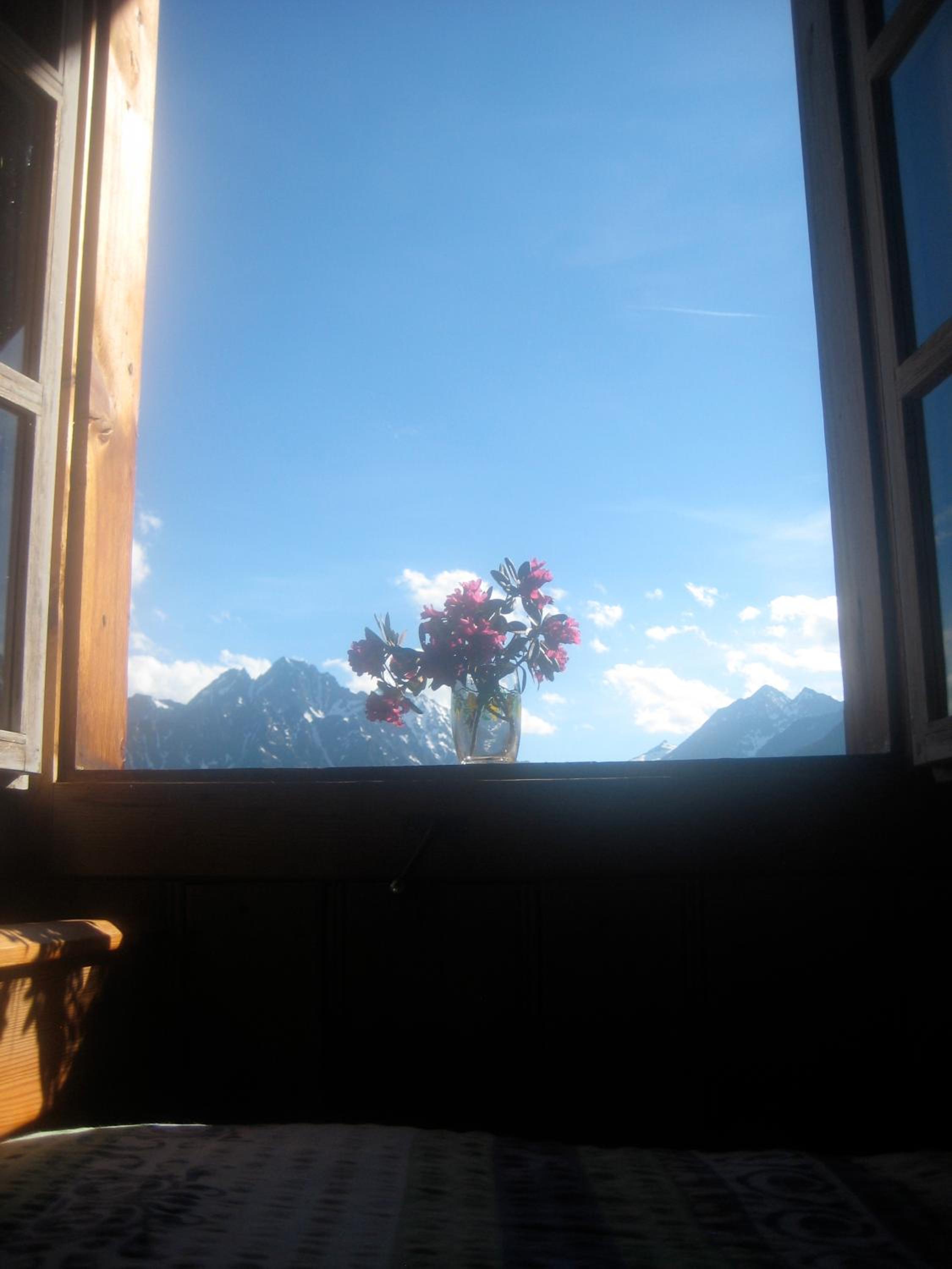 Almhütte Gorgasser
