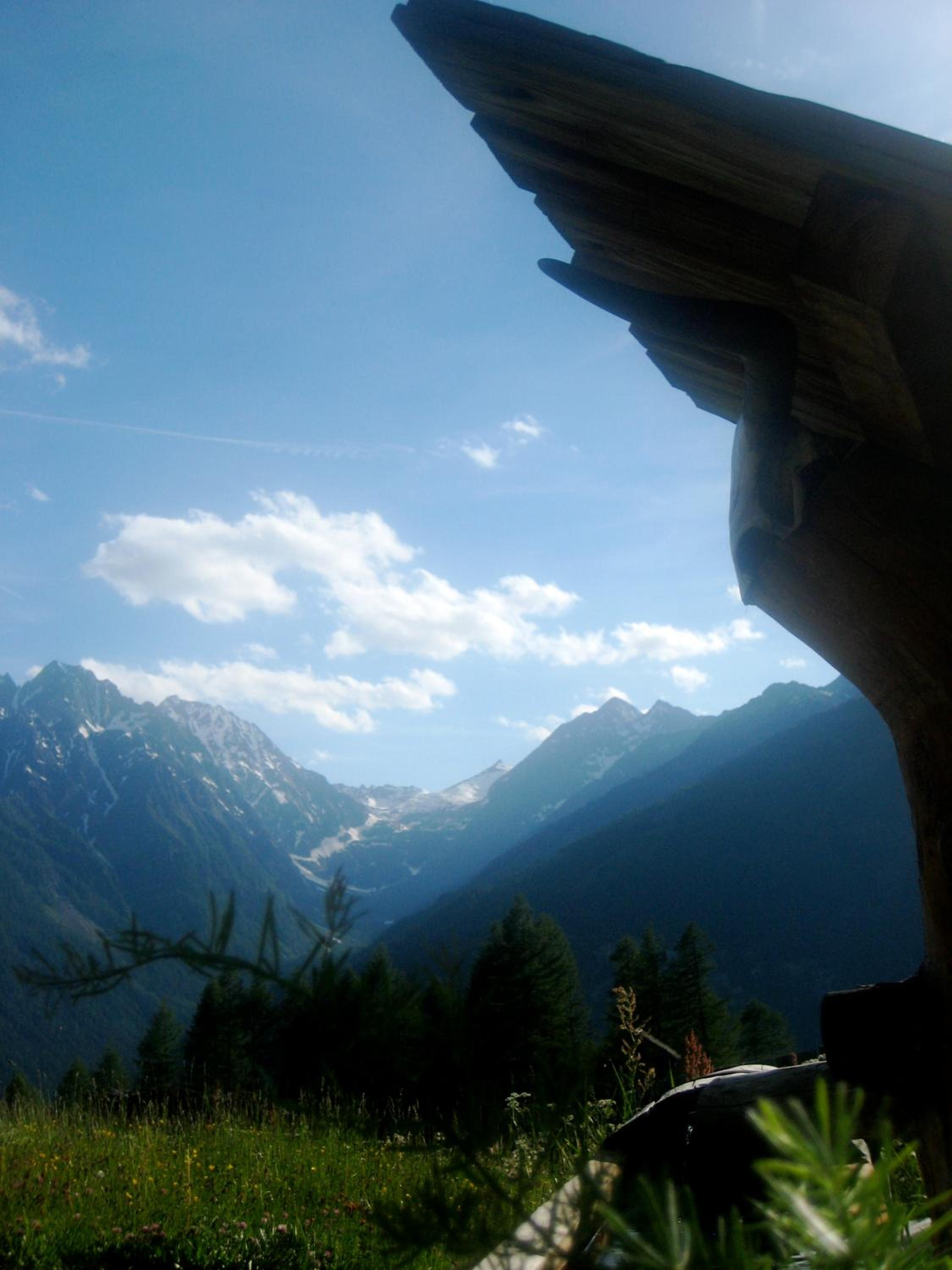 Almhütte Gorgasser