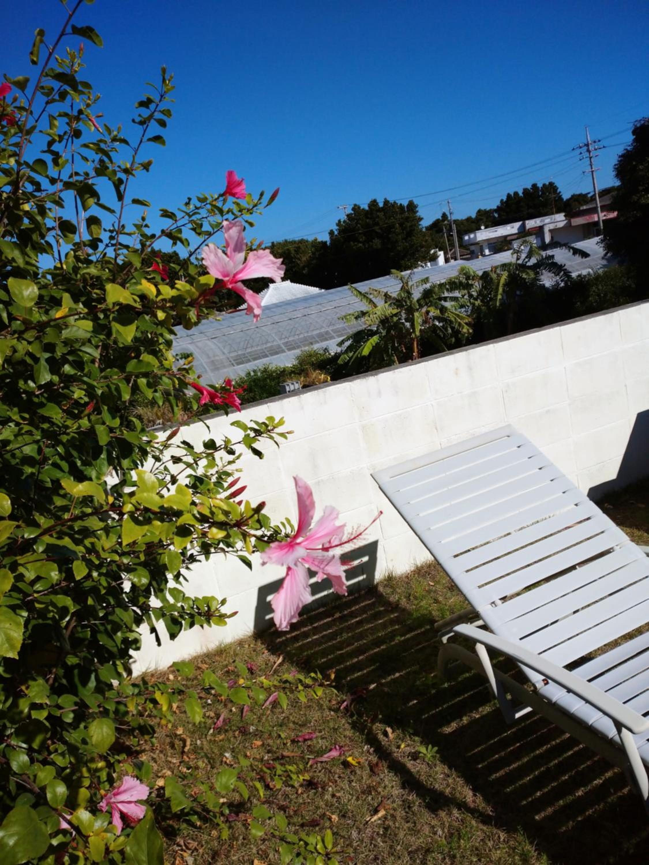 Sesoko Island Guest House Kafuu Village