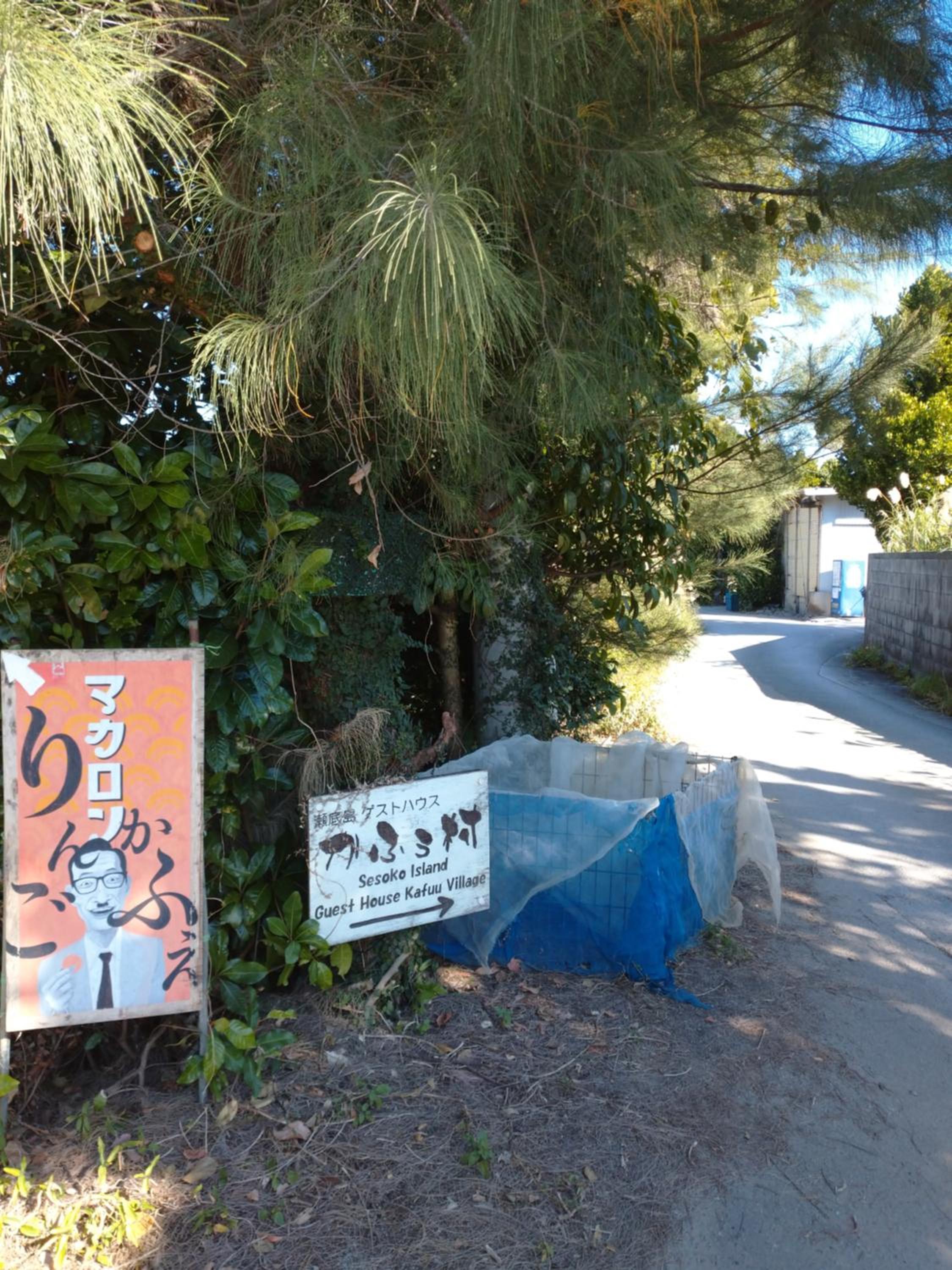 Sesoko Island Guest House Kafuu Village