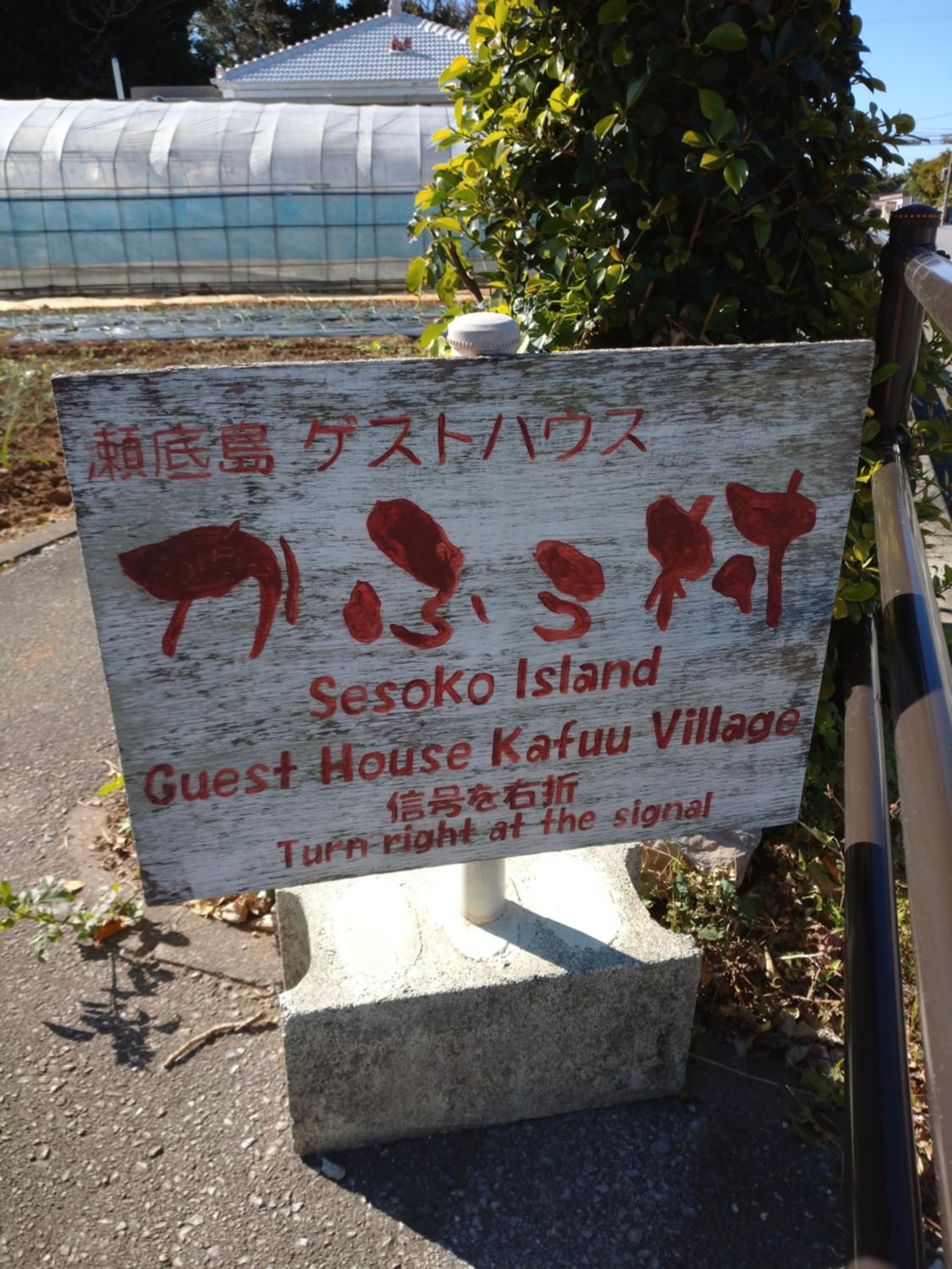 Sesoko Island Guest House Kafuu Village
