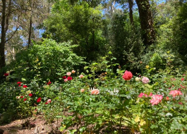 Aldgate Valley Bed and Breakfast