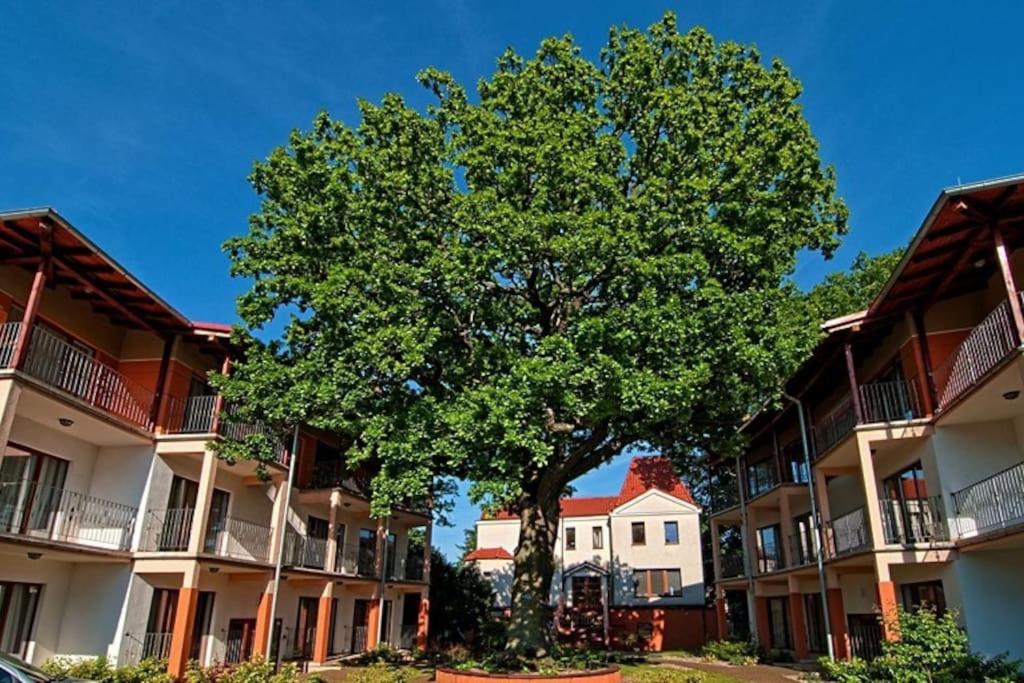 Rezydencja 5 Dębów