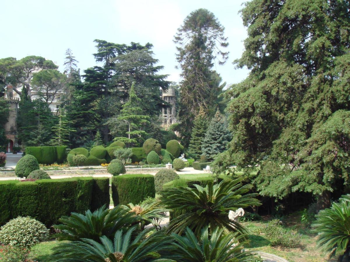 LES GRANDS CEDRES C1 7 Avenue de Fabron photo 3