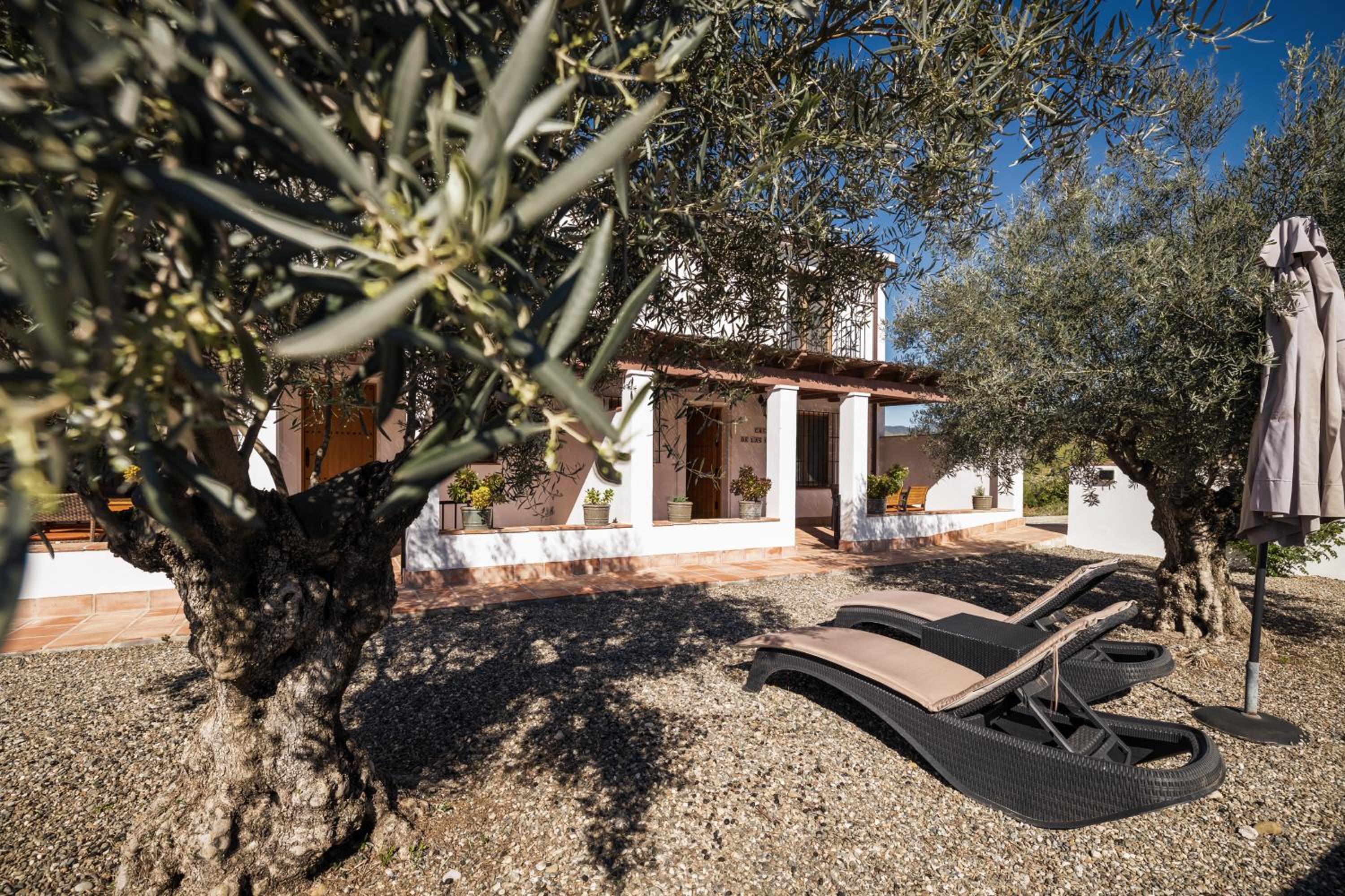 Casa del Pino by Rosas Cantares view 4