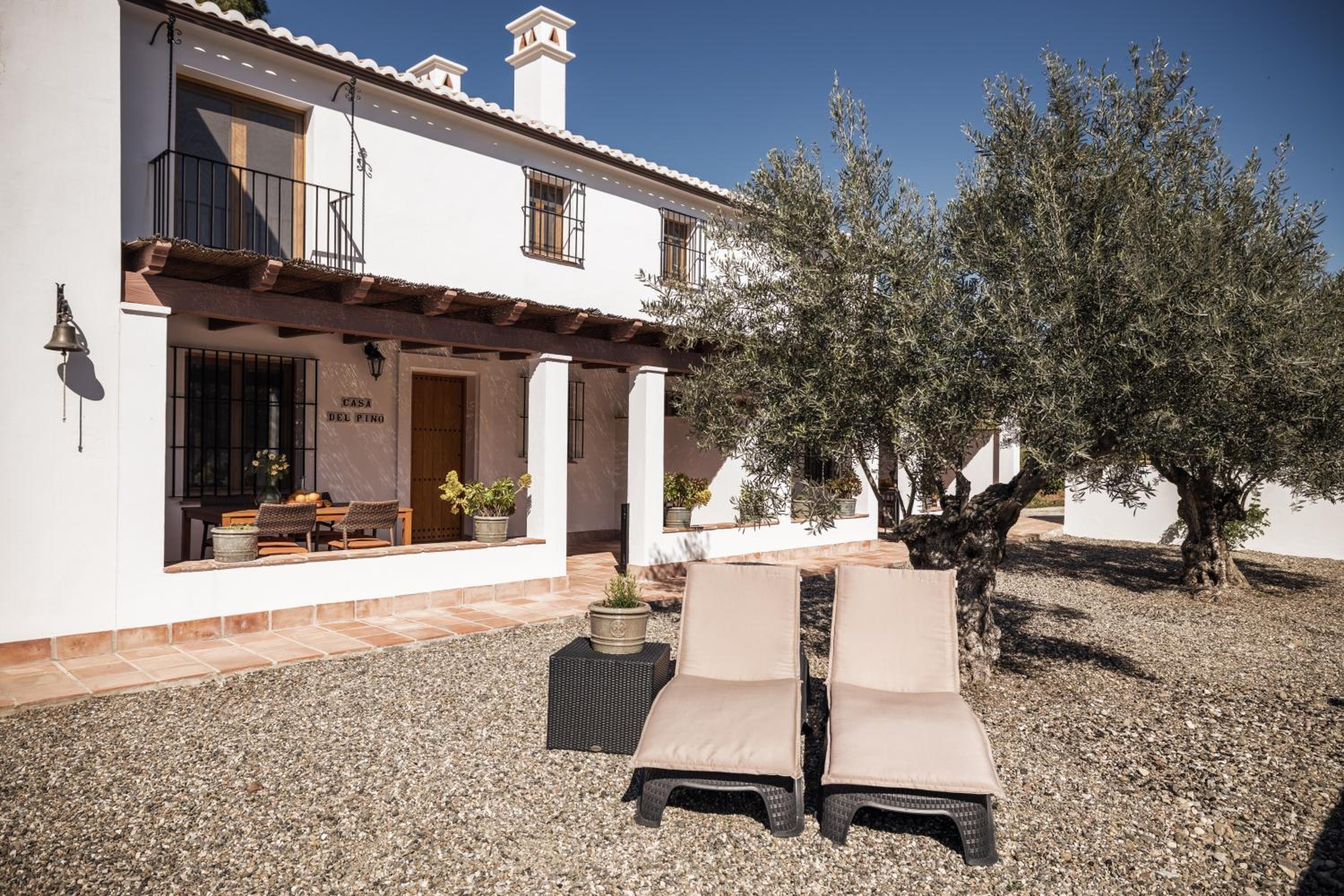 Casa del Pino by Rosas Cantares view 2