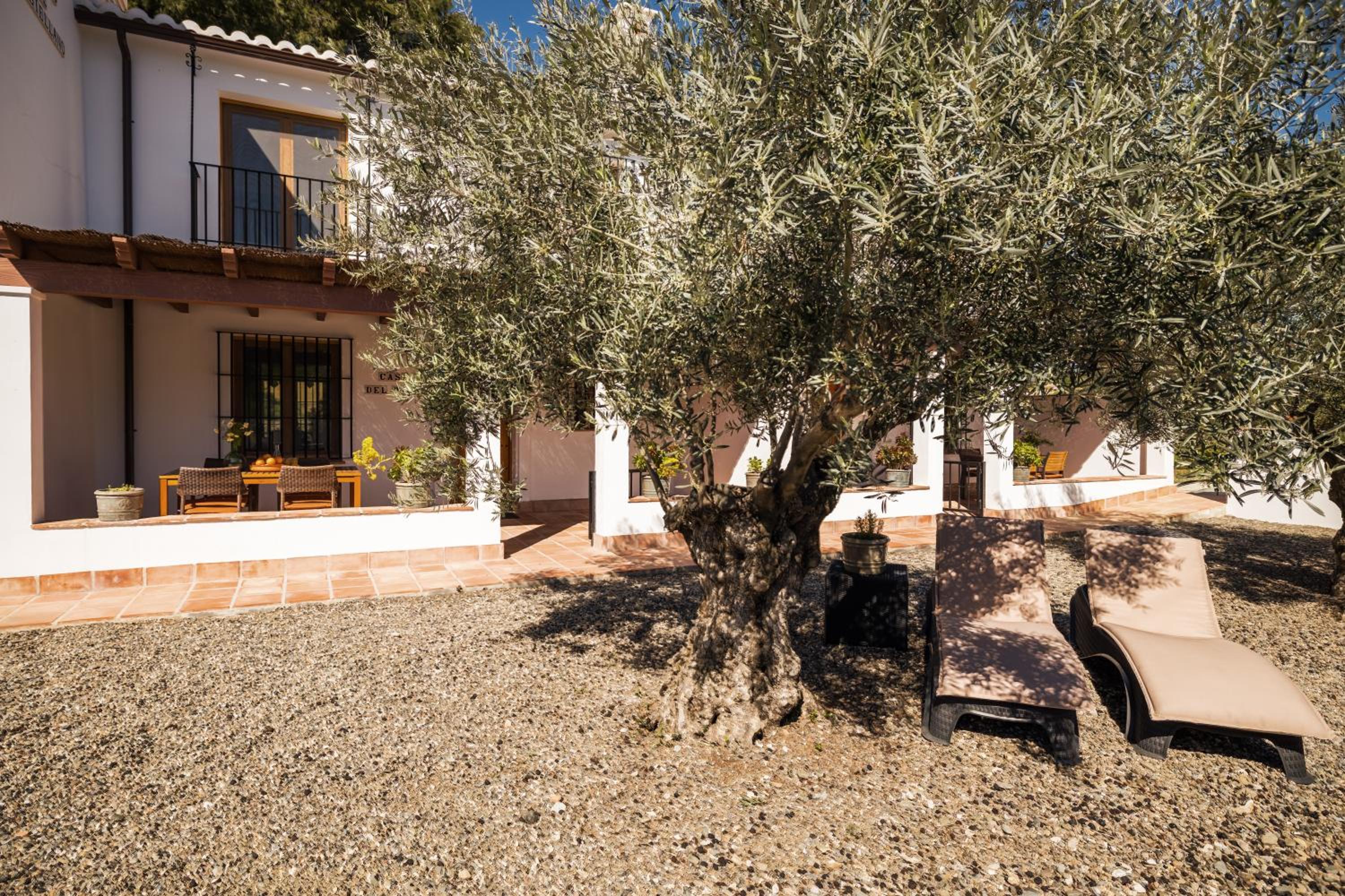 Casa del Pino by Rosas Cantares view 3