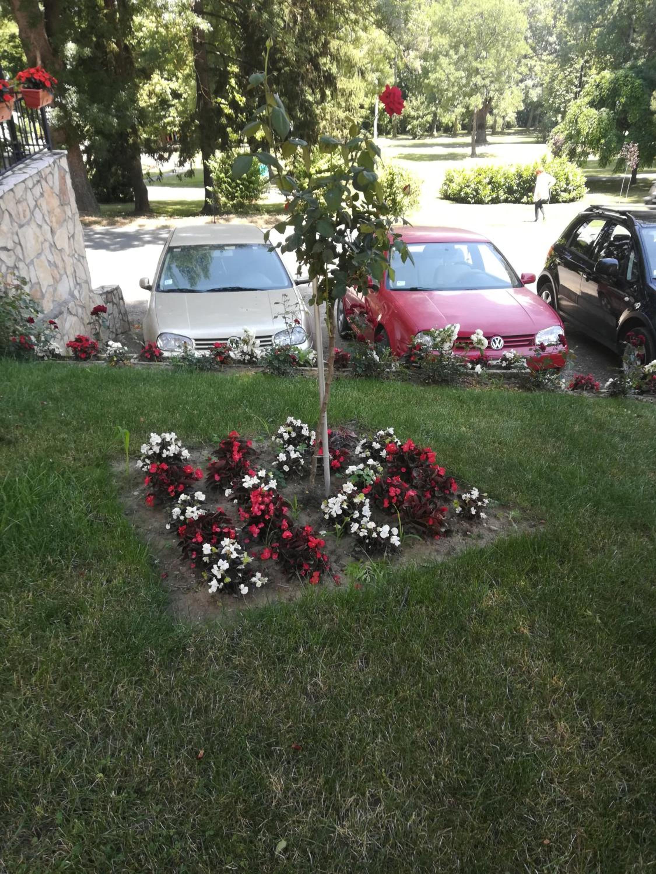 Photo 34