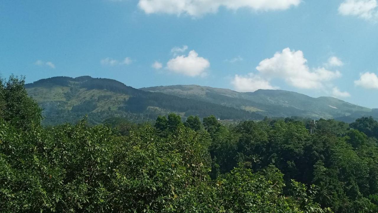 Galkotuwa Estate view 5