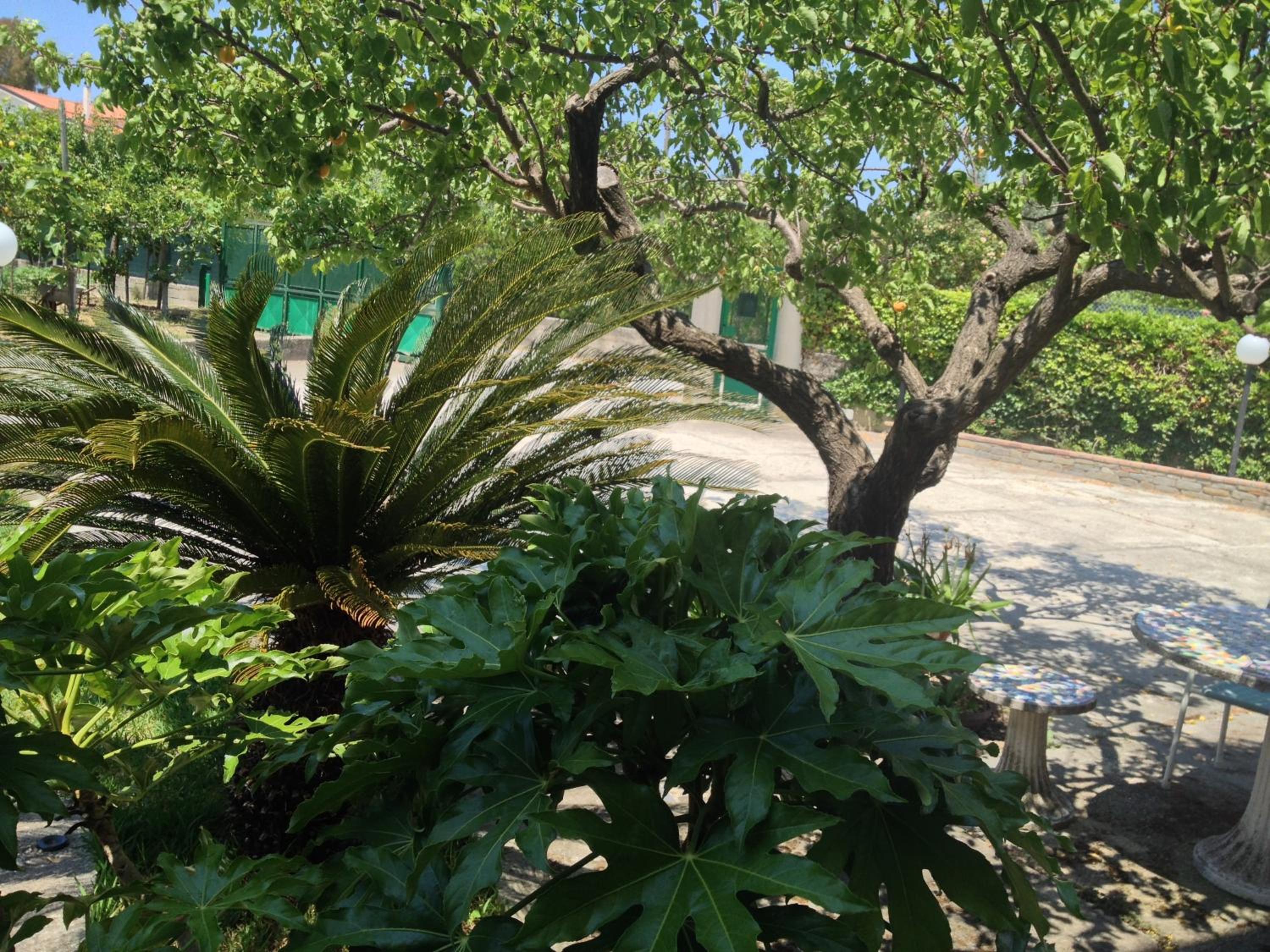 B&B Belvedere photo 4