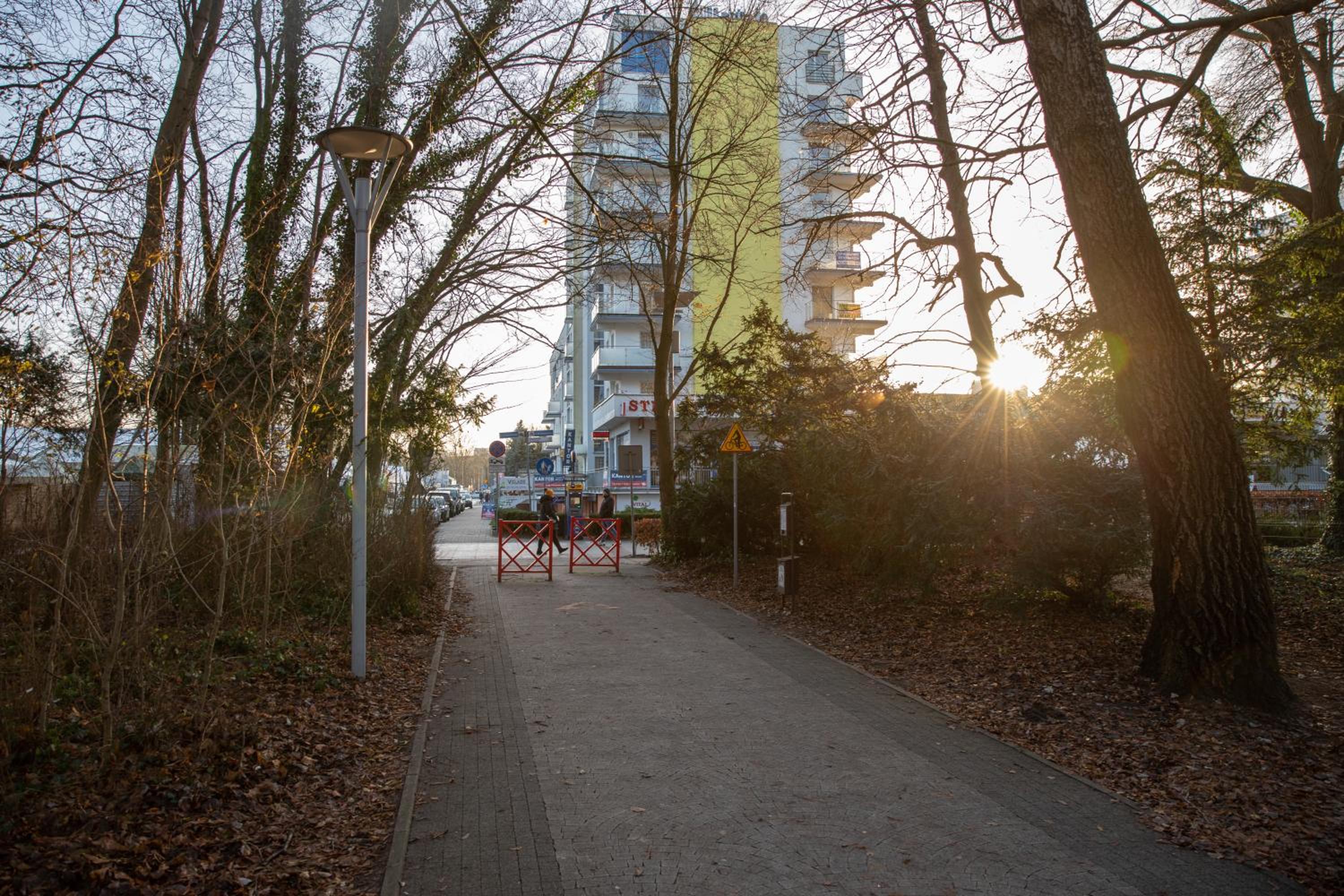 Photo 11