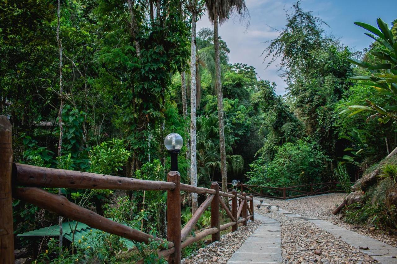 Espaço Viverde Penedo