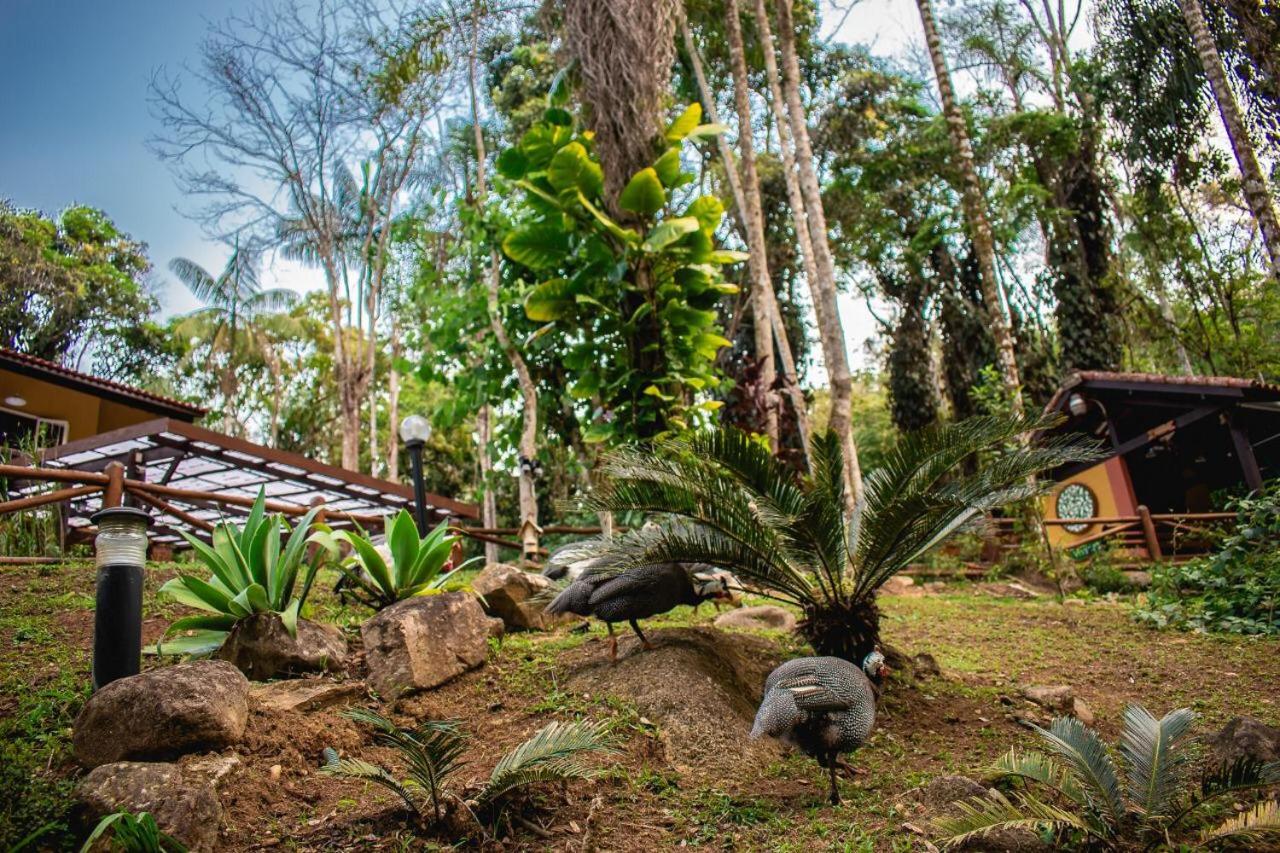Espaço Viverde Penedo