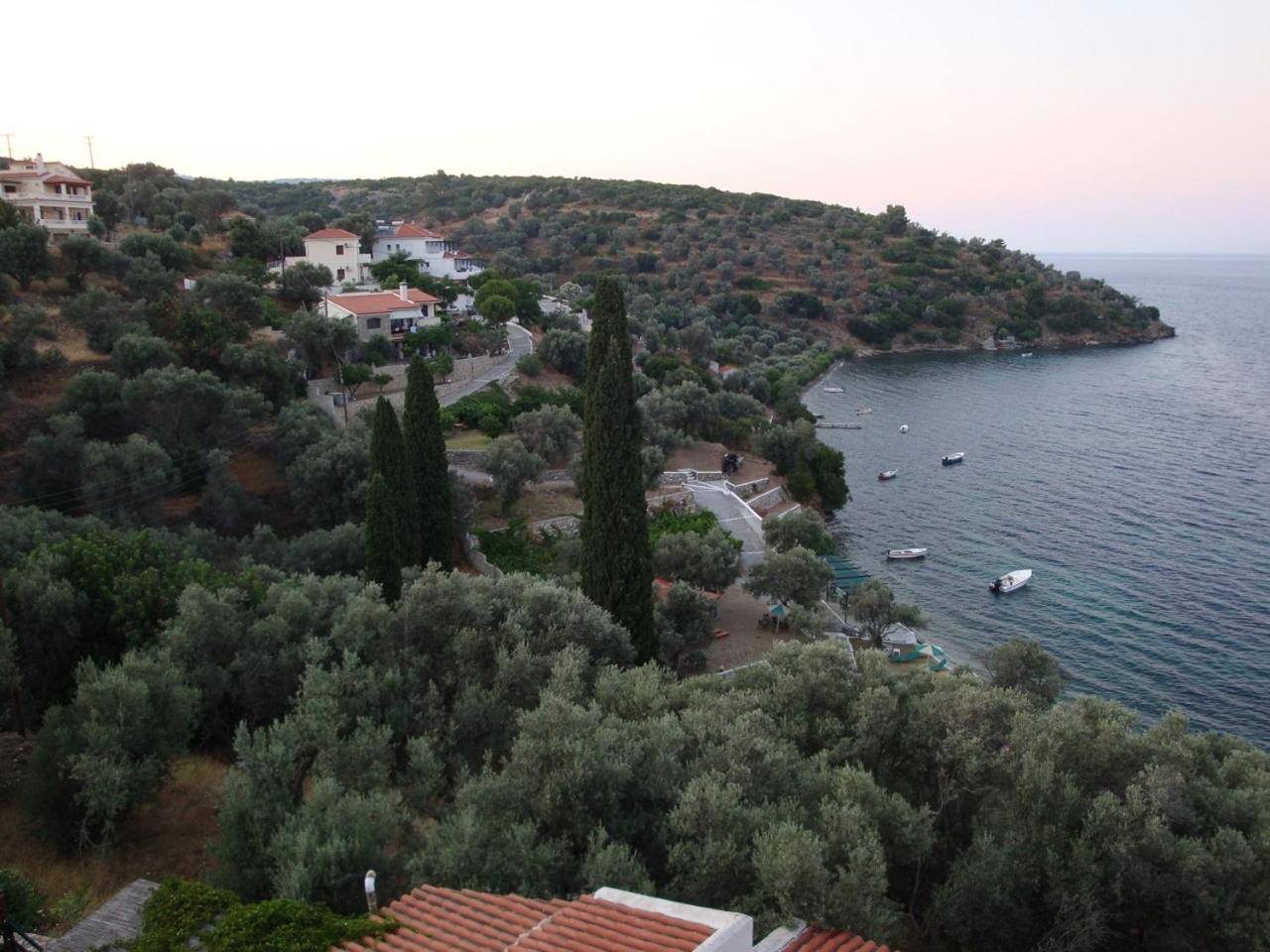 Photo 48