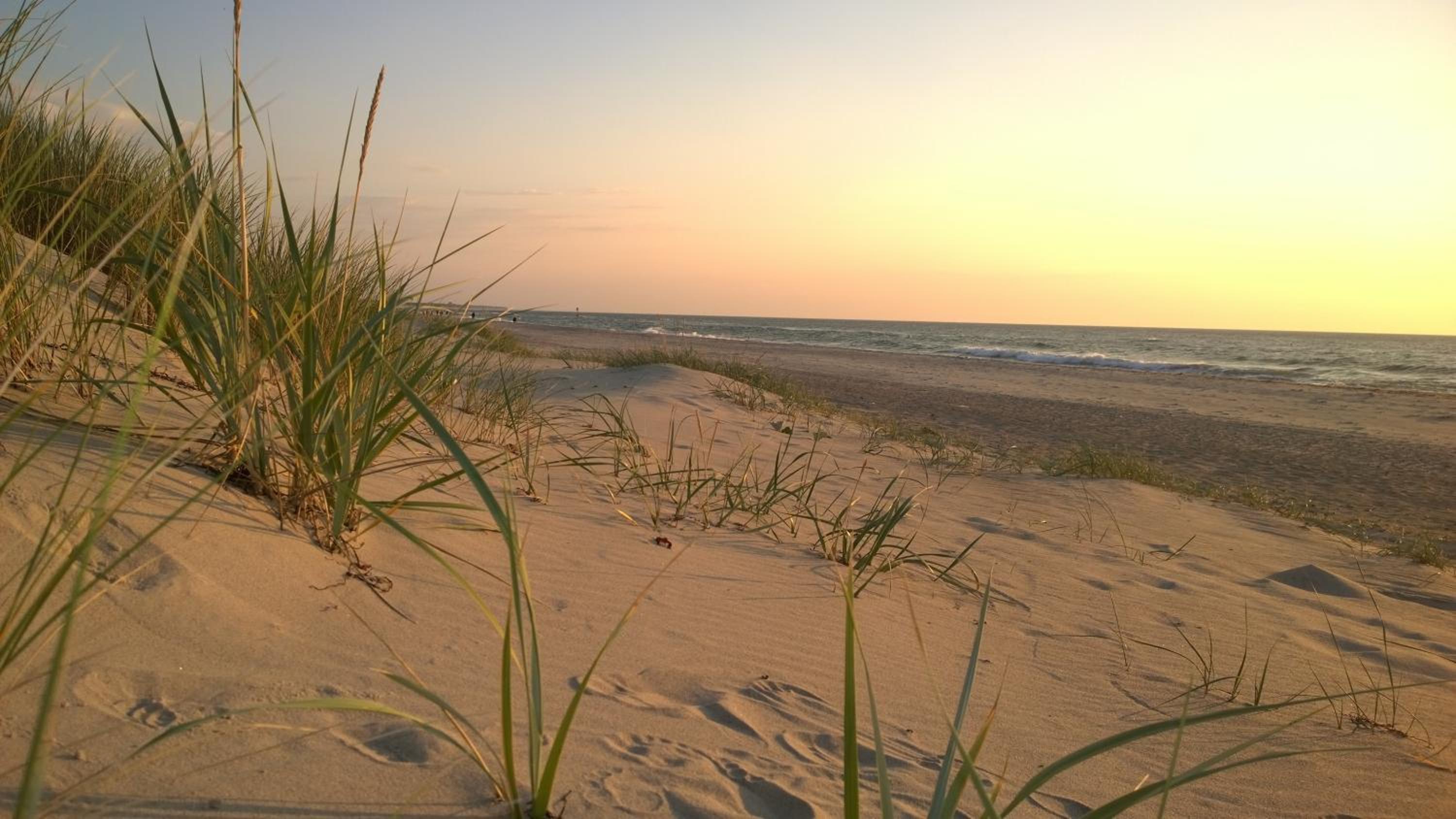 Ostsee Ferienappartement Dierhagen-Strand