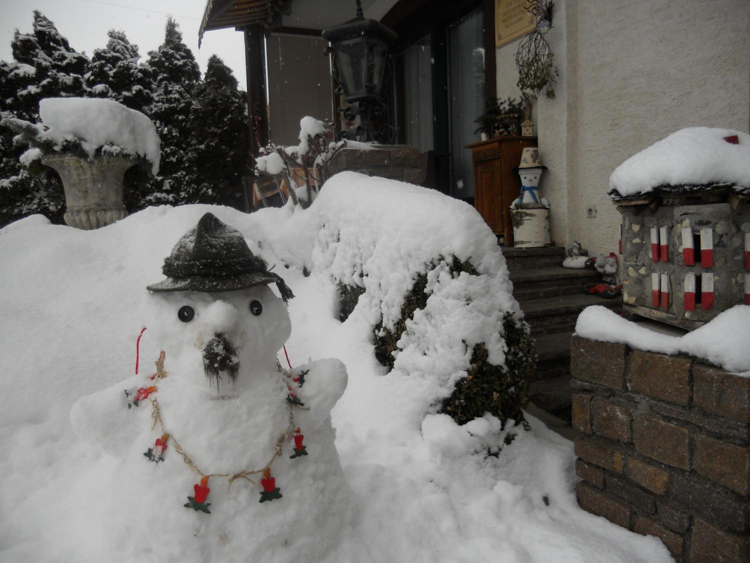 Photo 44