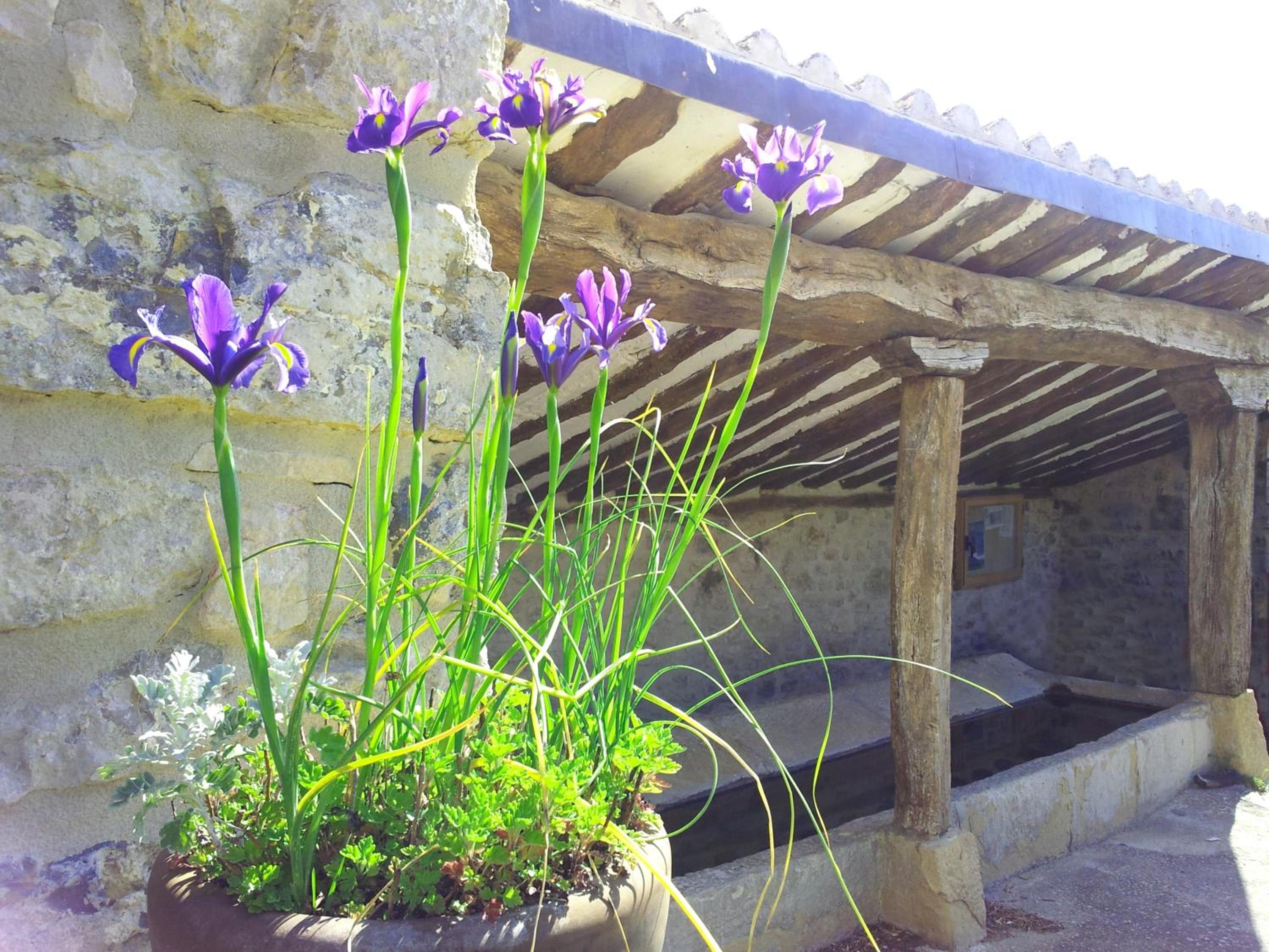 Casa Rural Basaula