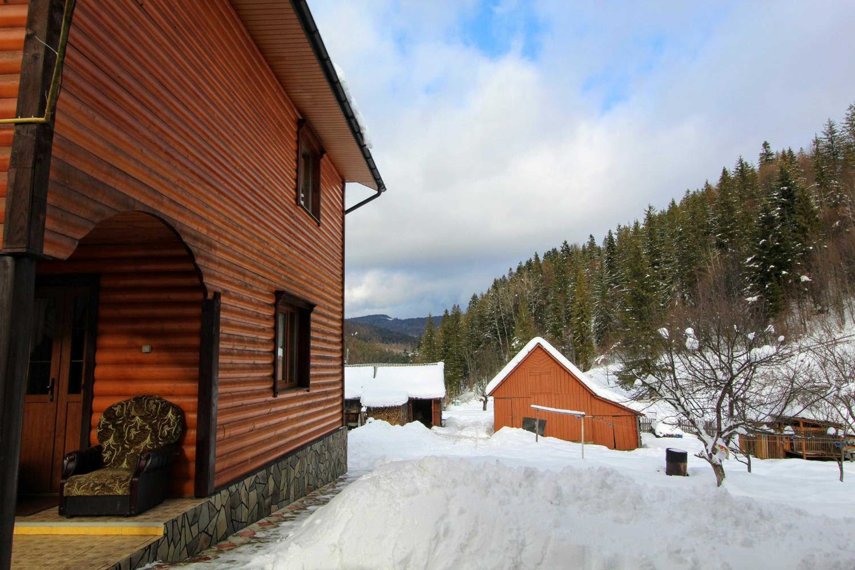 Photo 41