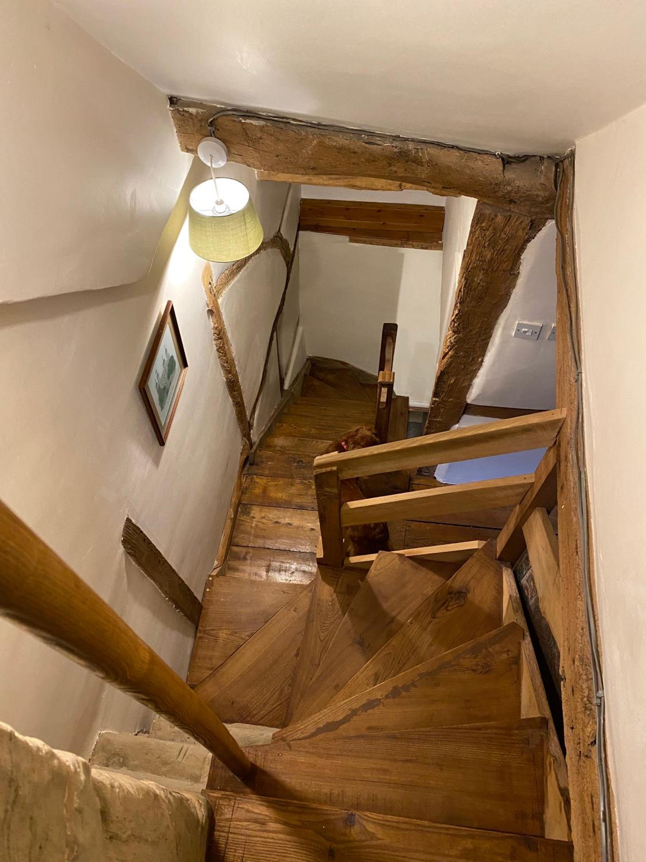 Photo 19