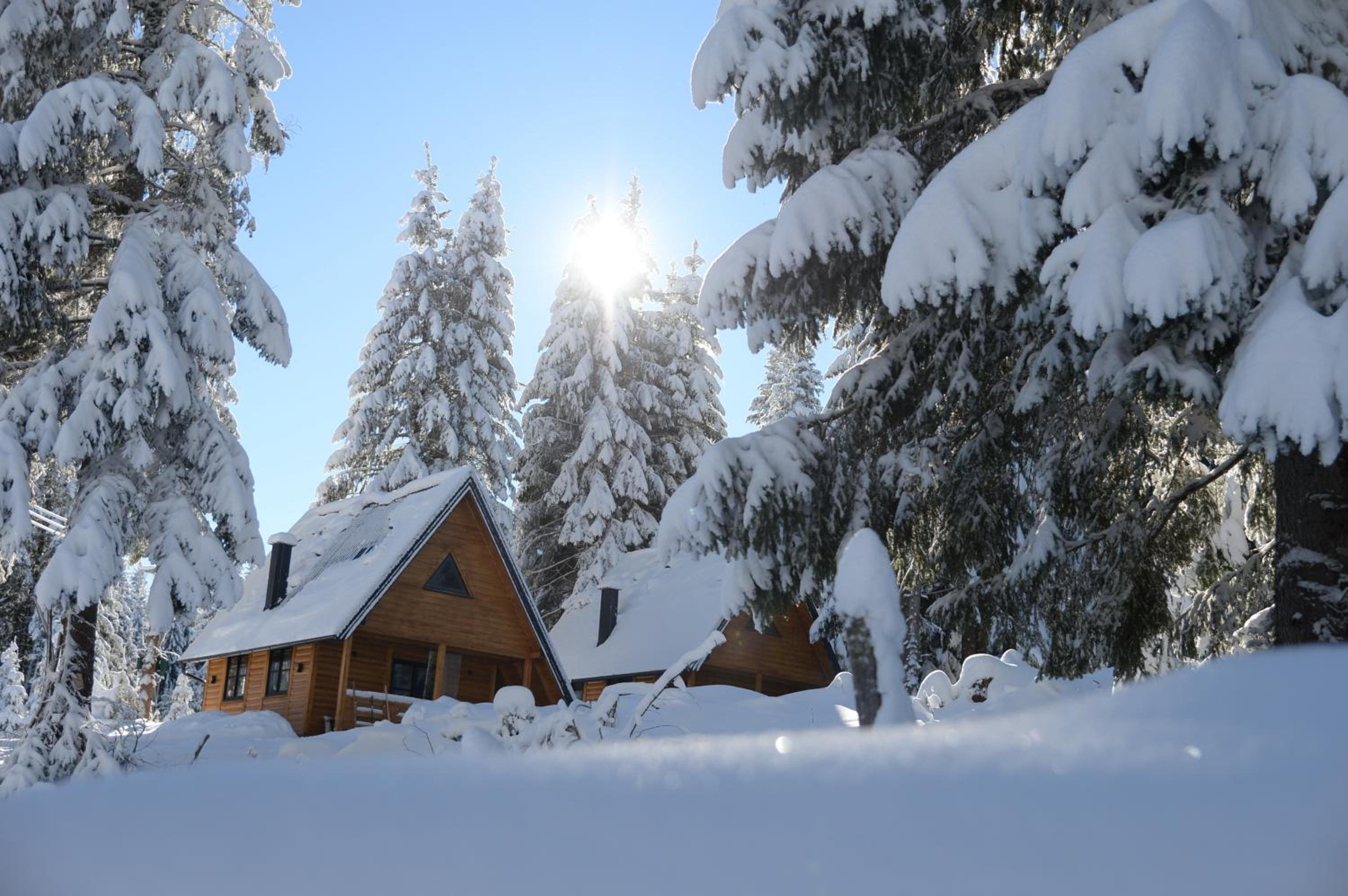 Gorske Vile Jahorina