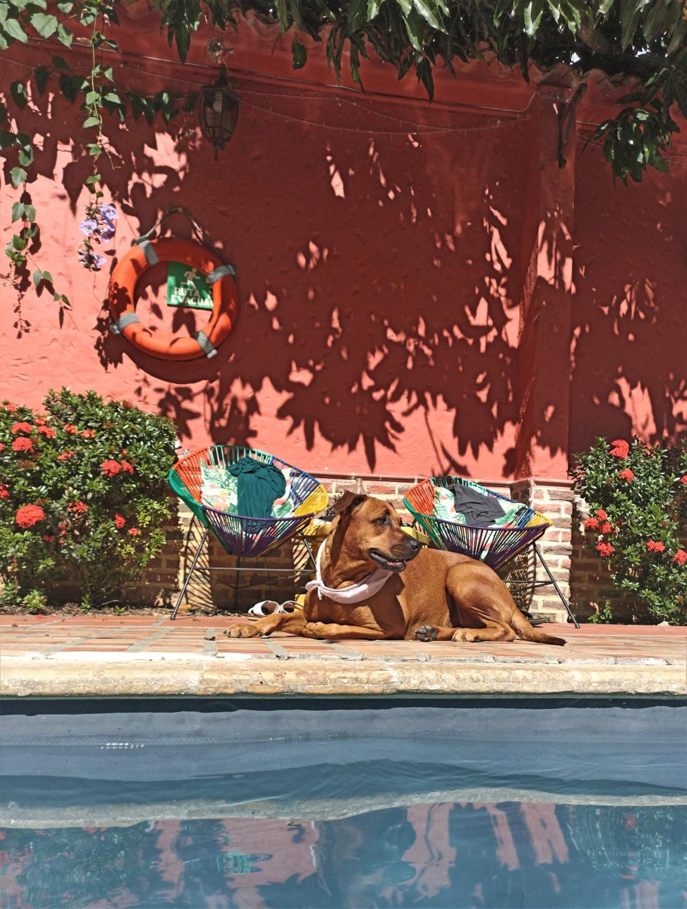 Hotel Casa de Verano - Solo adultos -