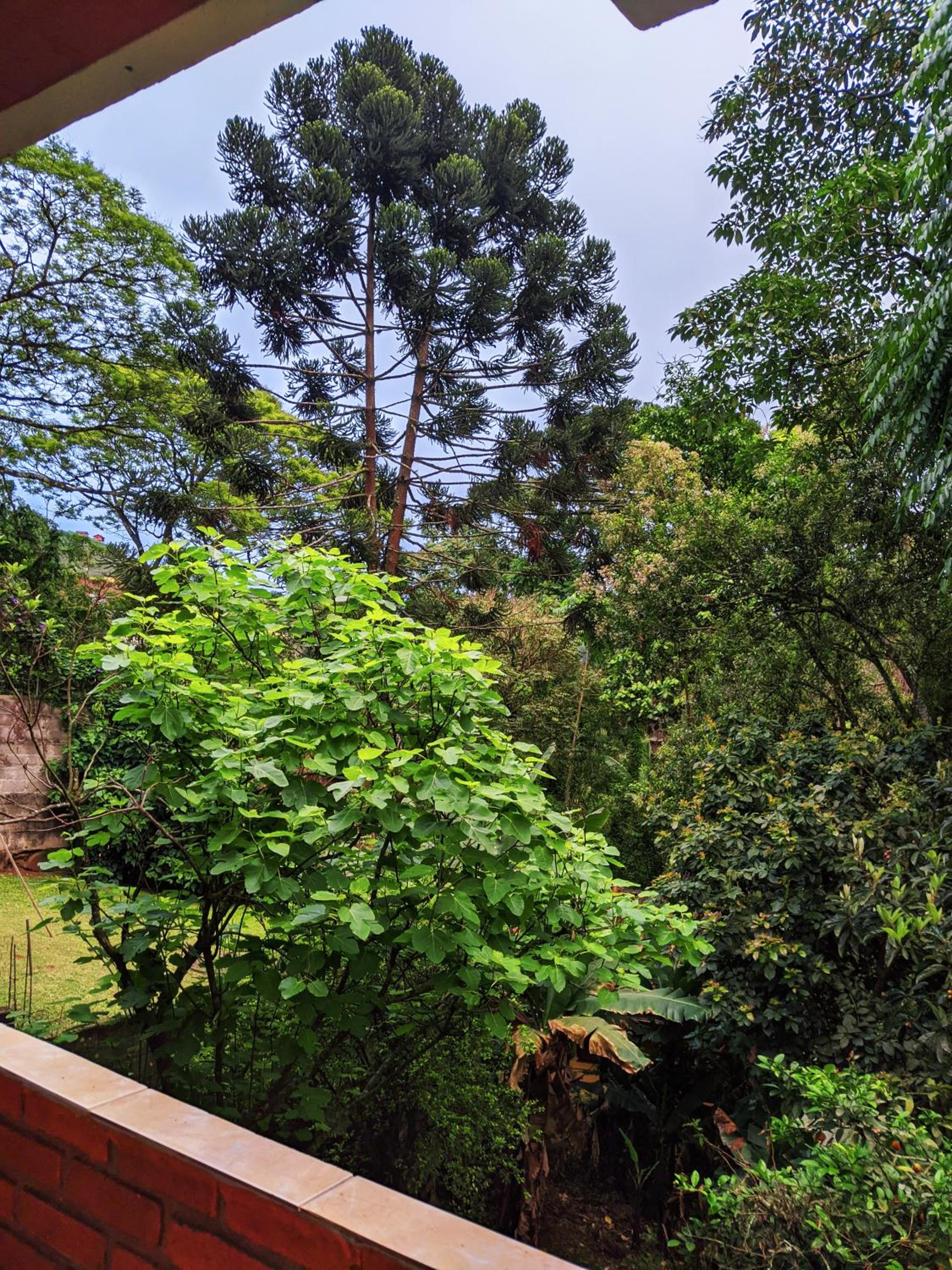 Casa Excelente Localização em Maringá RJ