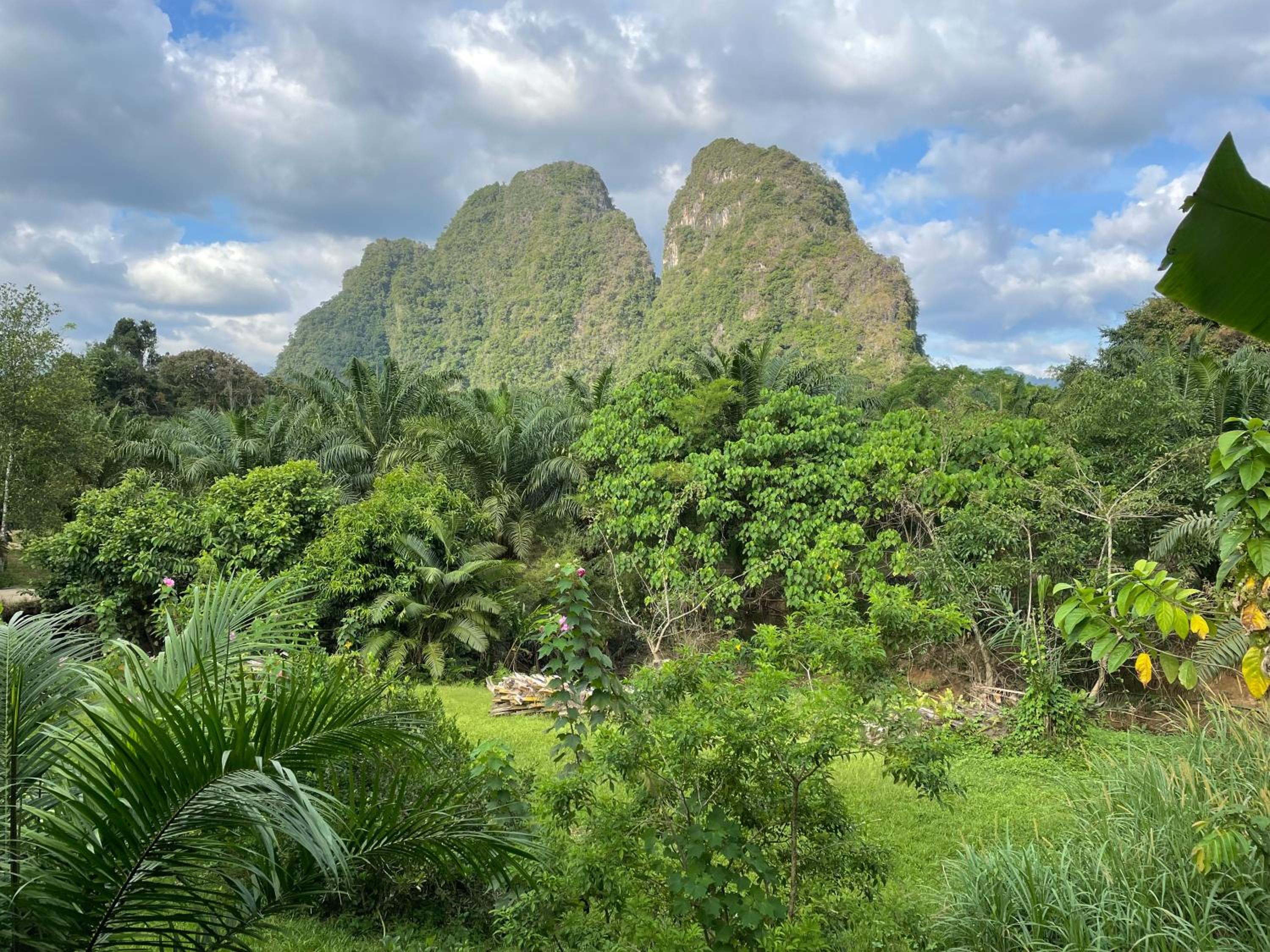 Khaosok Good view Resort - SHA PLUS