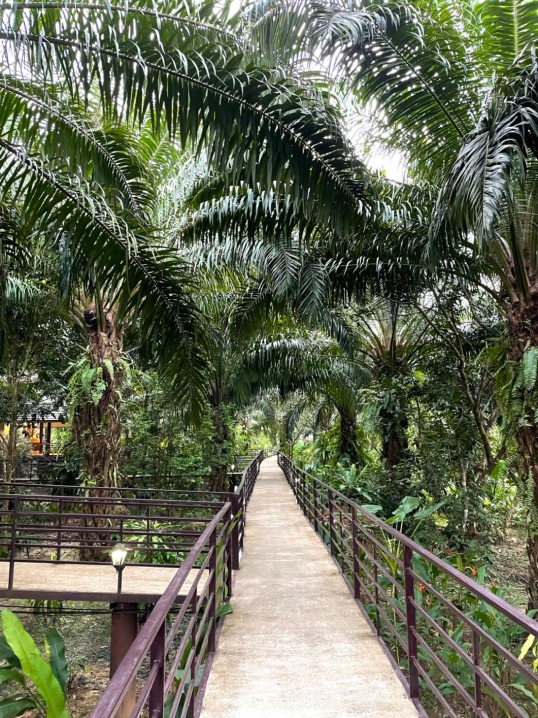 Khaosok Good view Resort - SHA PLUS