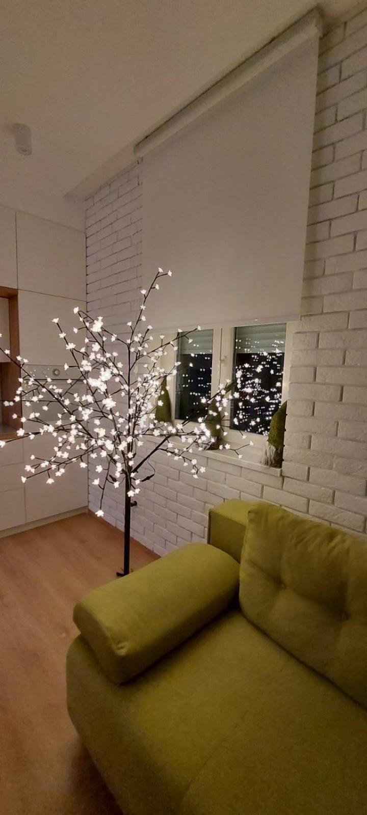 Apartment Ana, Vračar, Belgrade view 3