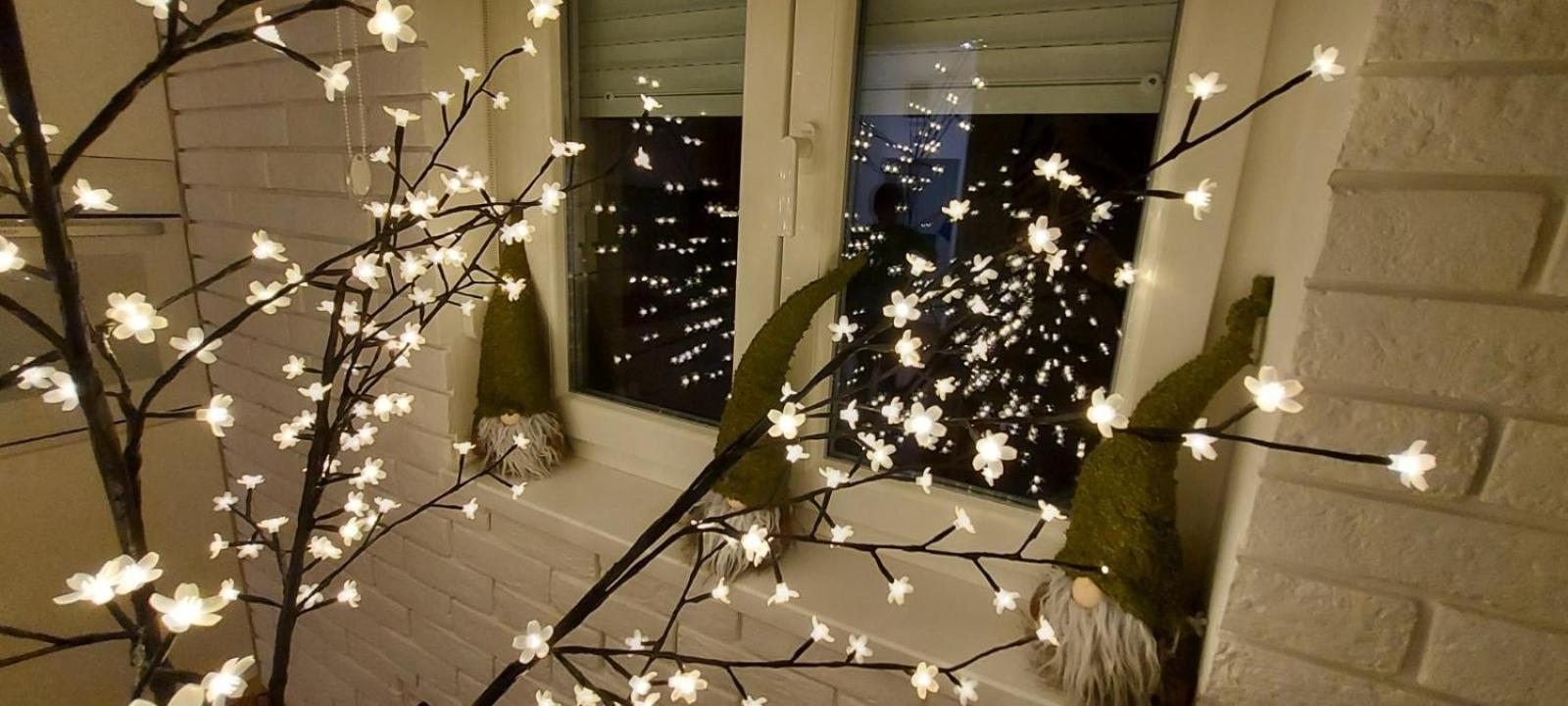 Apartment Ana, Vračar, Belgrade view 2