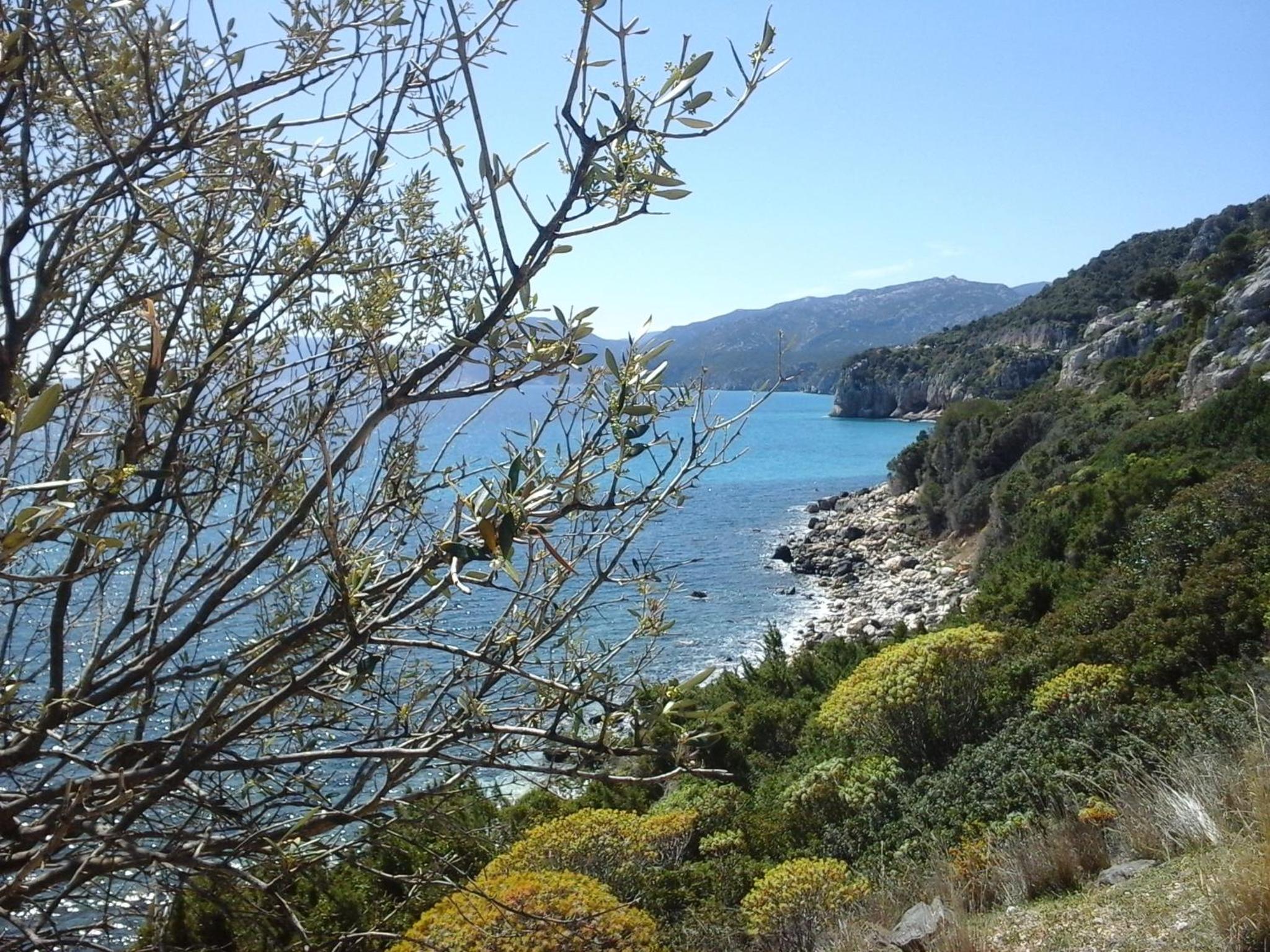 Photo 21