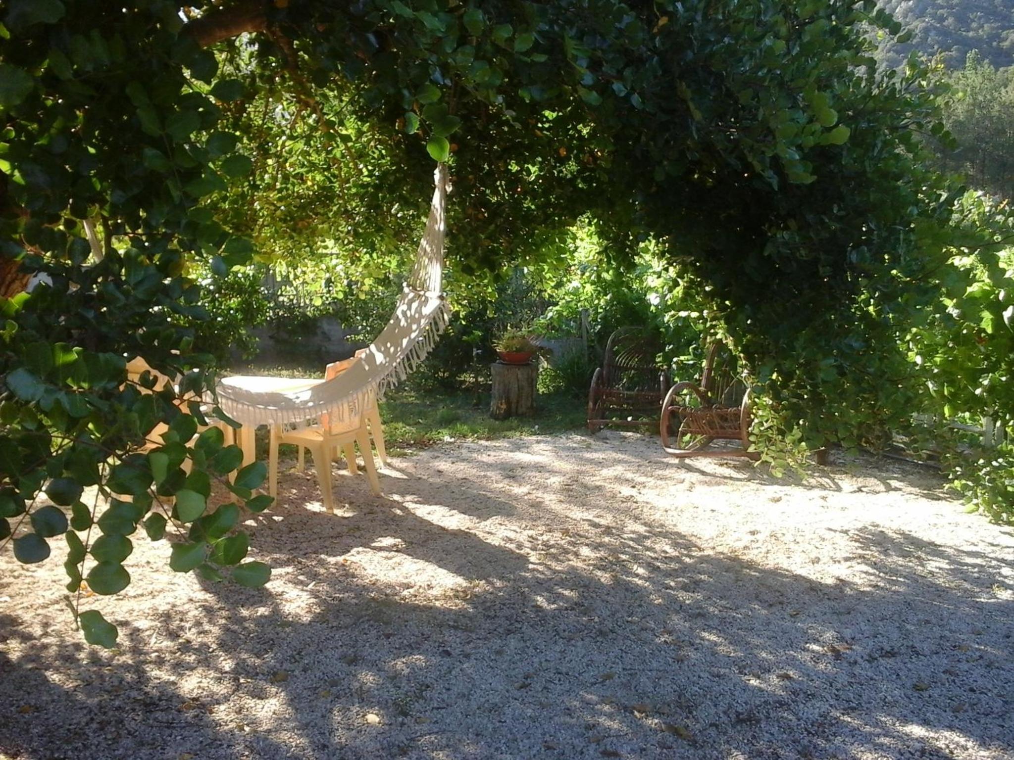 Photo 29