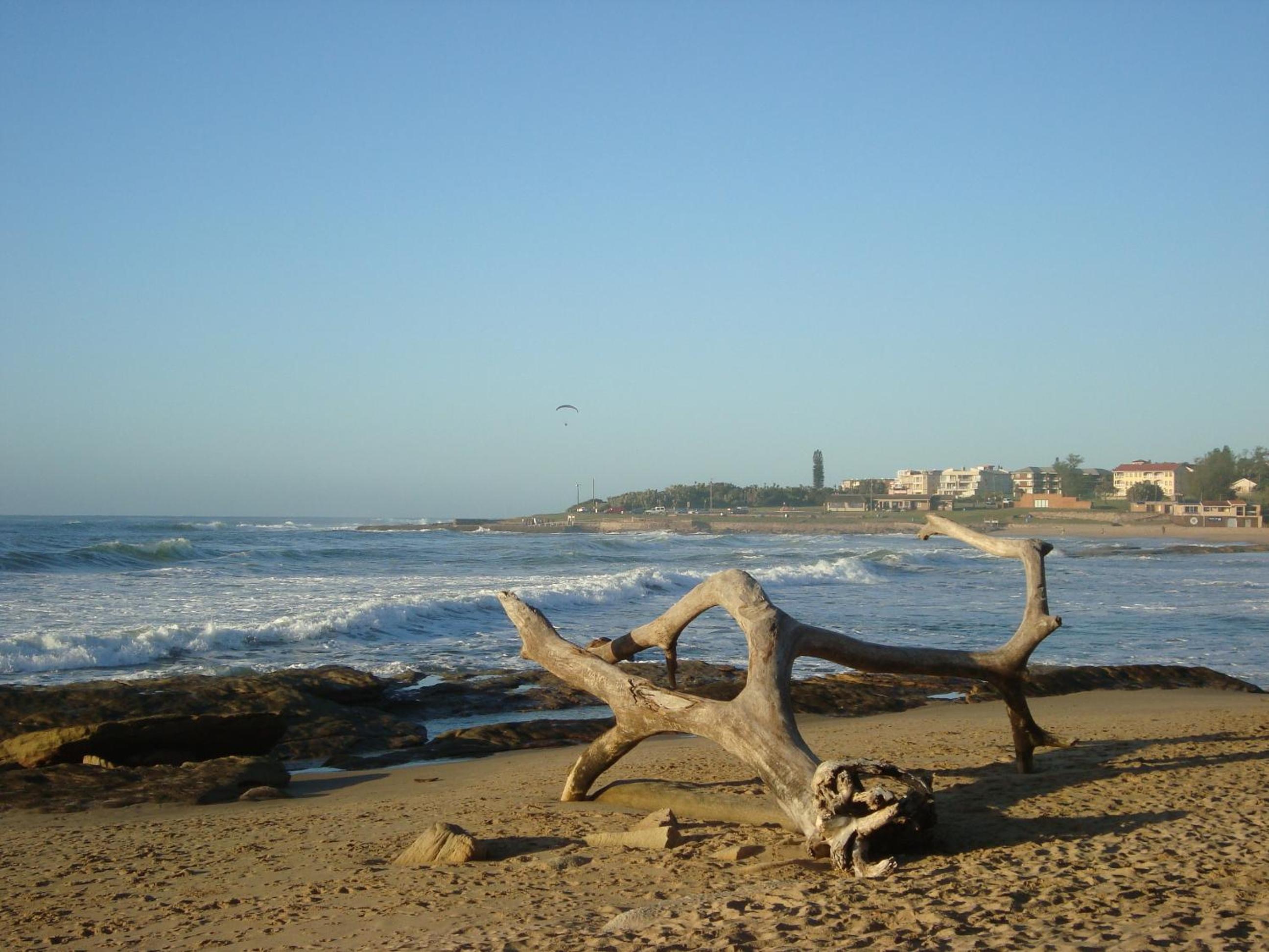 Photo 20