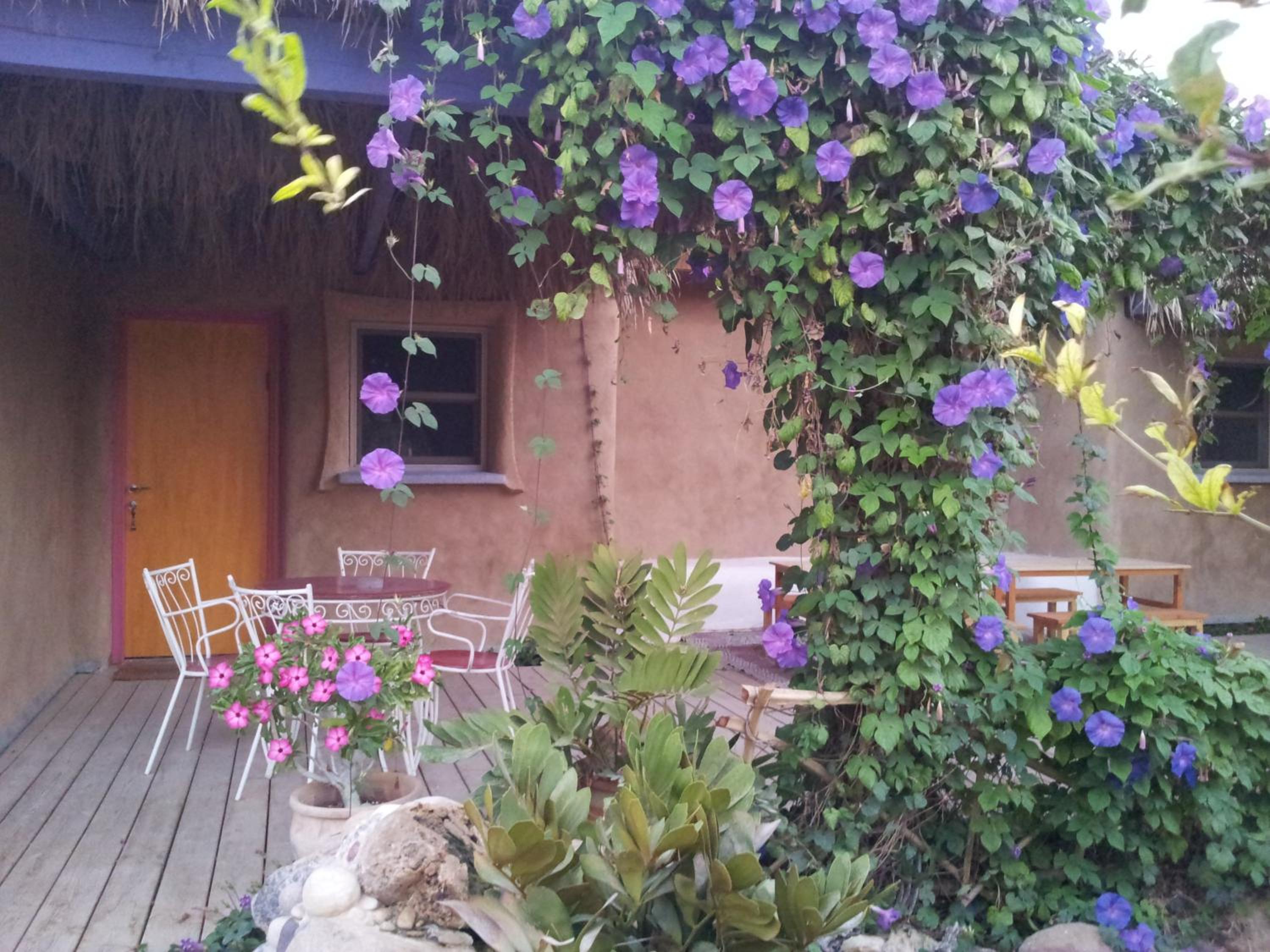 Photo 29